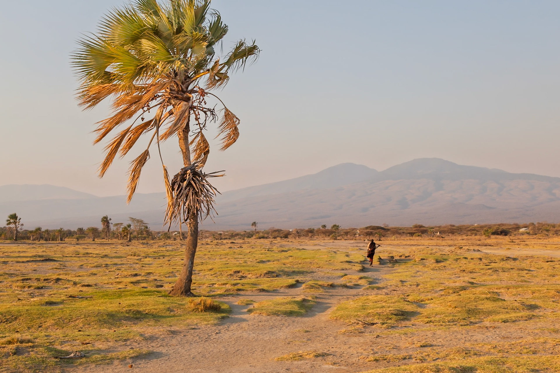 Lake Eyasi, Tanzania - September 27th 2025: A man carries a hoe across a grassy plain at sunset, likely heading to or from agricultural work.