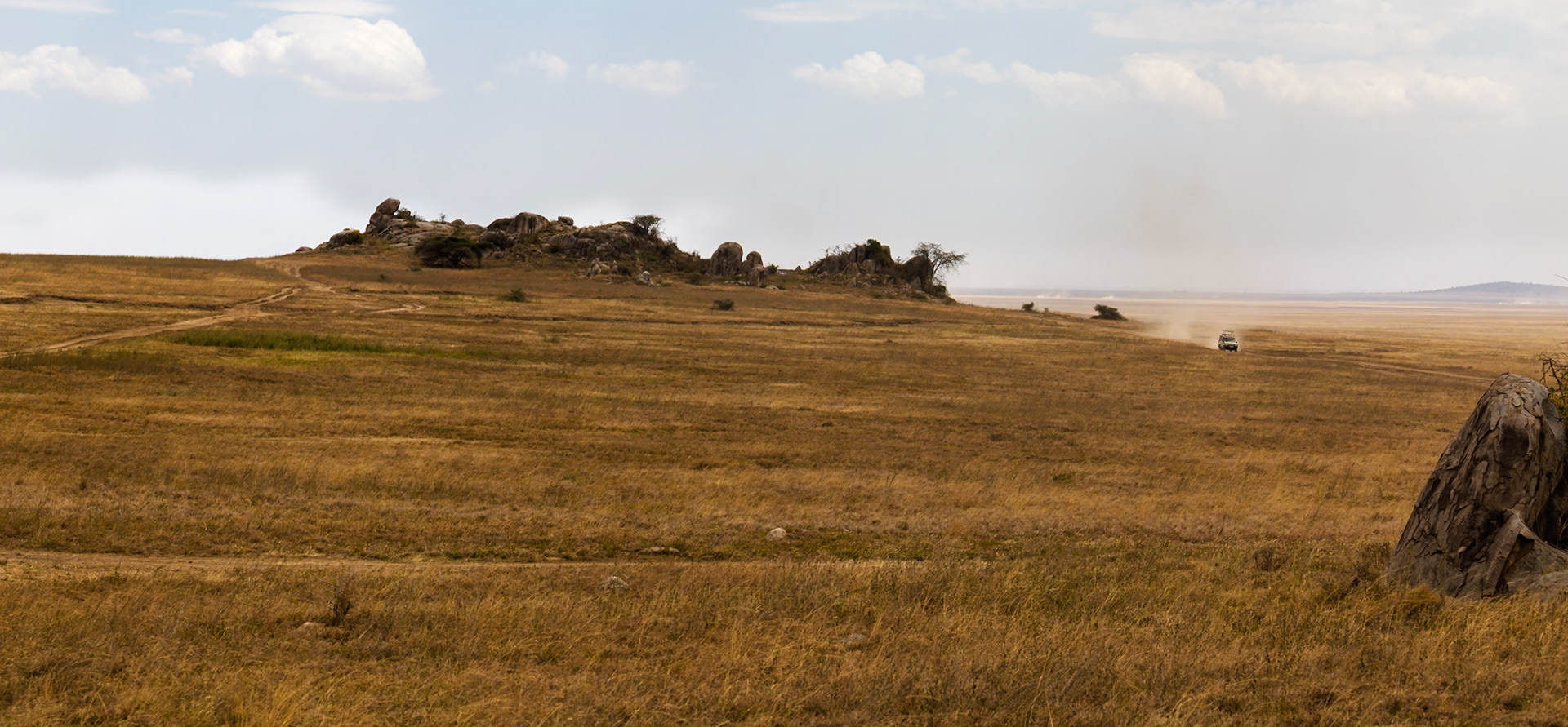 A safari vehicle drives through Serengeti National Park, Tanzania, kicking up dust as it explores the vast landscape.