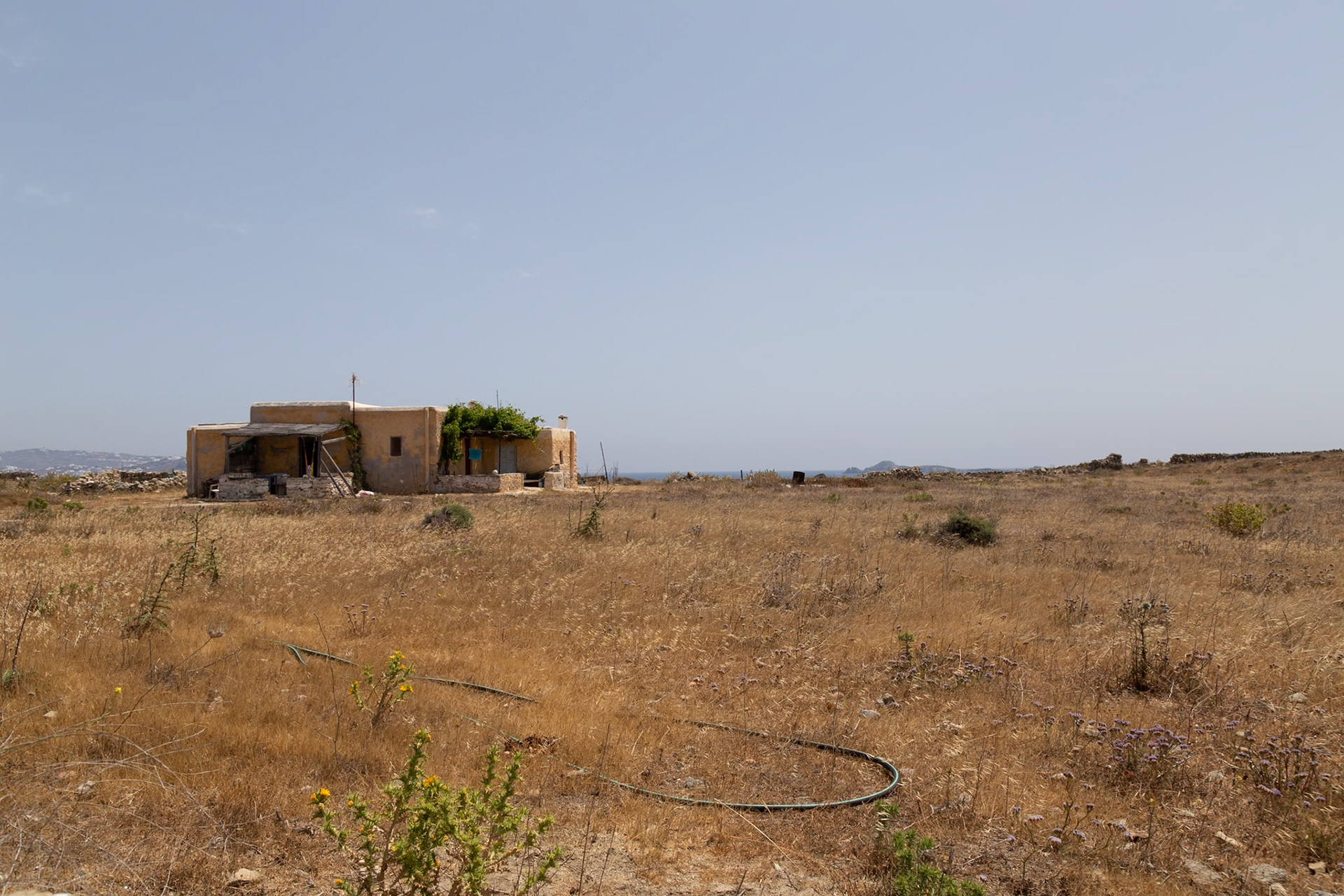 Delos, Greece - May 22nd 2018: A sun-drenched field of dry grass leads to a weathered building, evoking a sense of history and solitude on the ancient island.