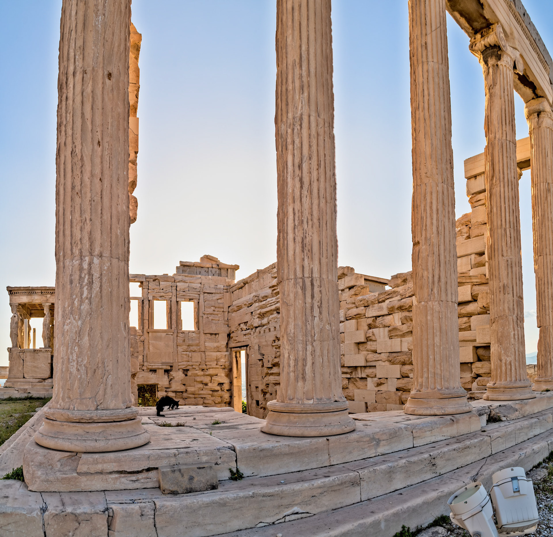 Acropolis, Athens, Greece - May 23rd 2018: A cat explores the Erechtheion, an ancient Greek temple, part of the Acropolis, a historic citadel.