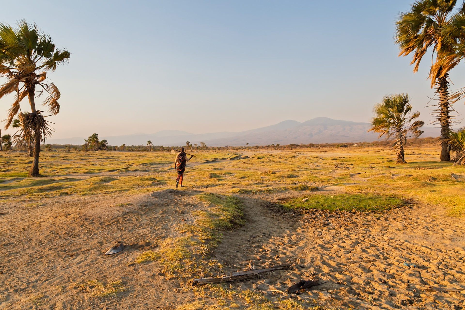 Lake Eyasi, Tanzania - September 27th 2025: A man carries a hoe across a grassy plain at sunset, likely heading to or from agricultural work.