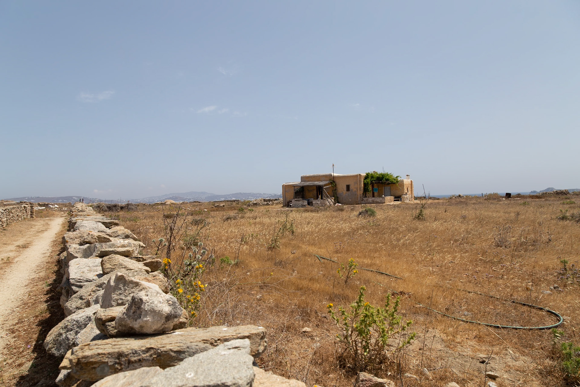 Delos, Greece - May 22nd 2018: A stone wall lines a path leading to a small building in a field of dry grass, showcasing the island's landscape and architecture.