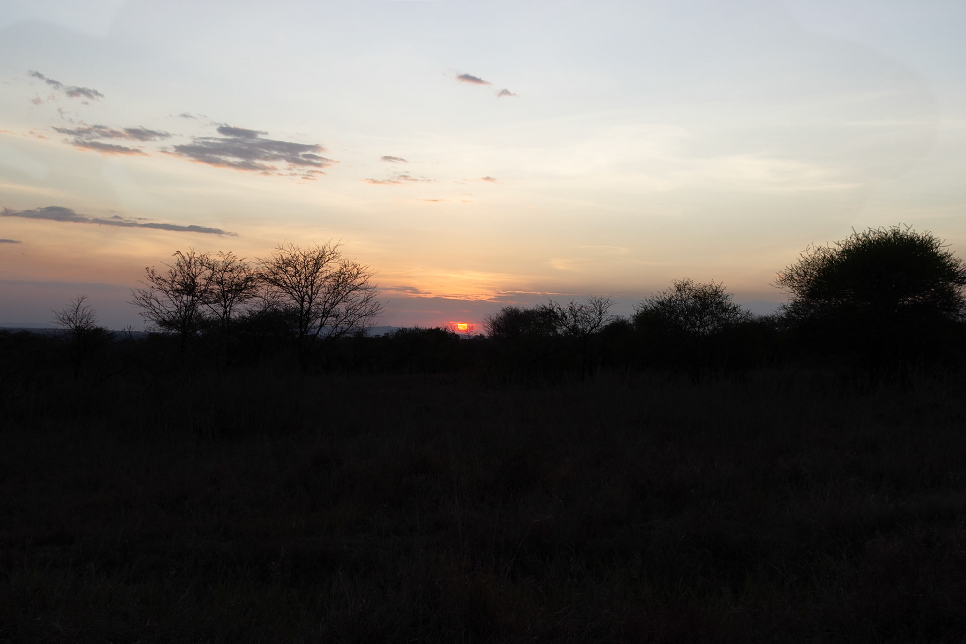 Sunset in Serengeti National Park, Tanzania. The sun is setting behind the trees.