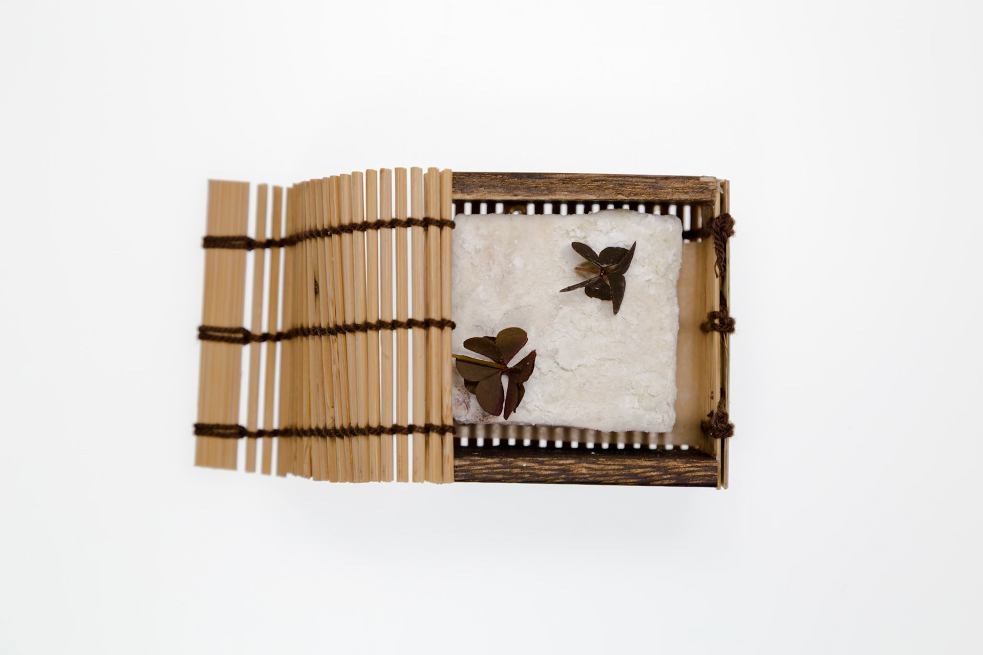 Fog Lark, Portland, Oregon - April 6th 2018: A wooden box with a bamboo screen holds a white object decorated with dark leaves.