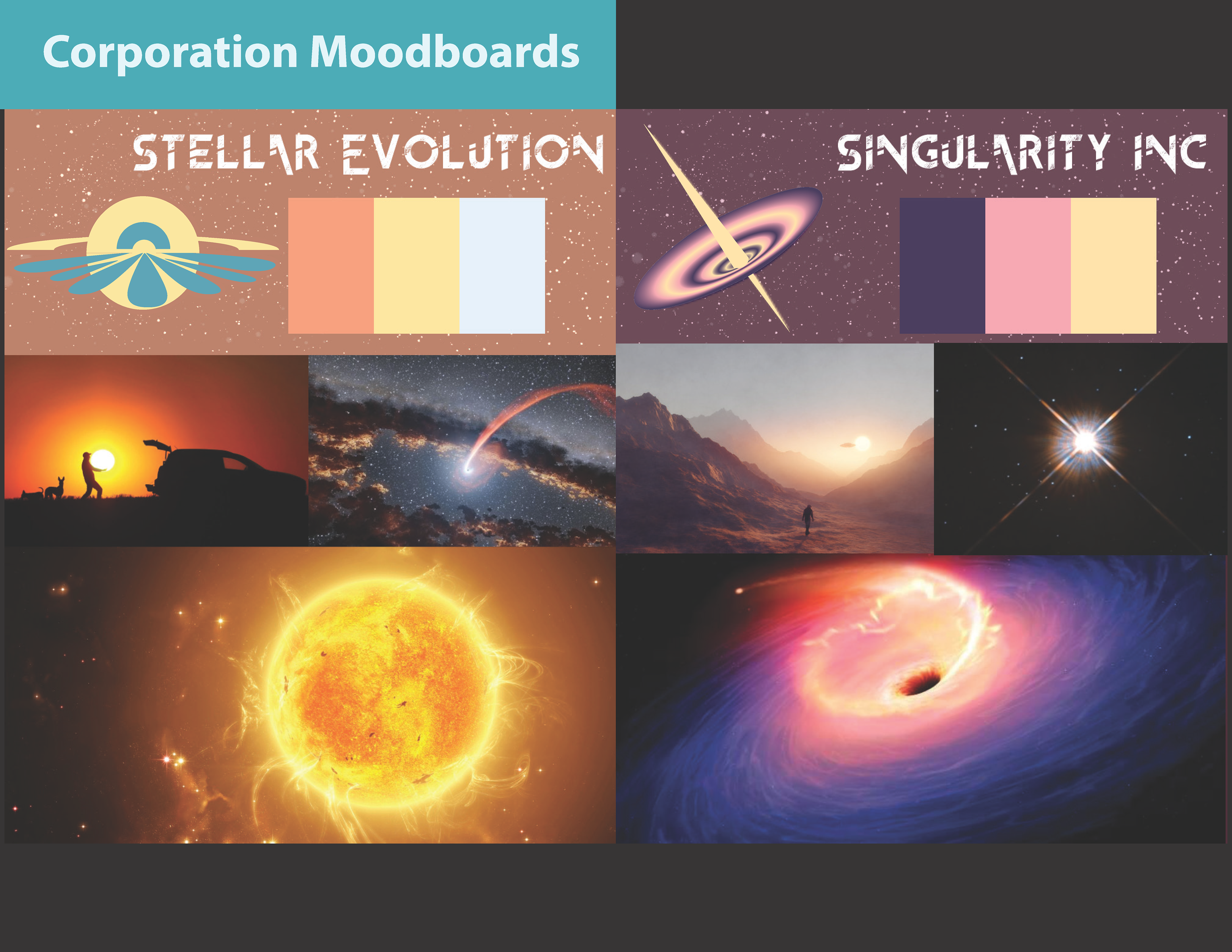 Company design page for Stellar Evolution & Singularity Inc