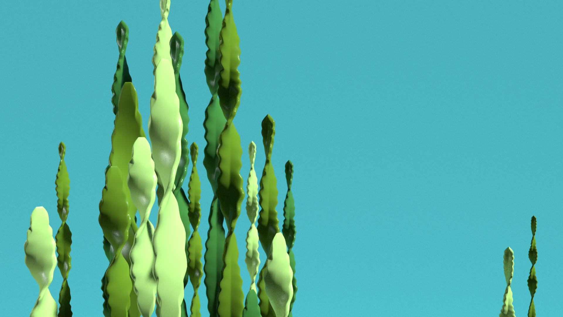 Seaweed