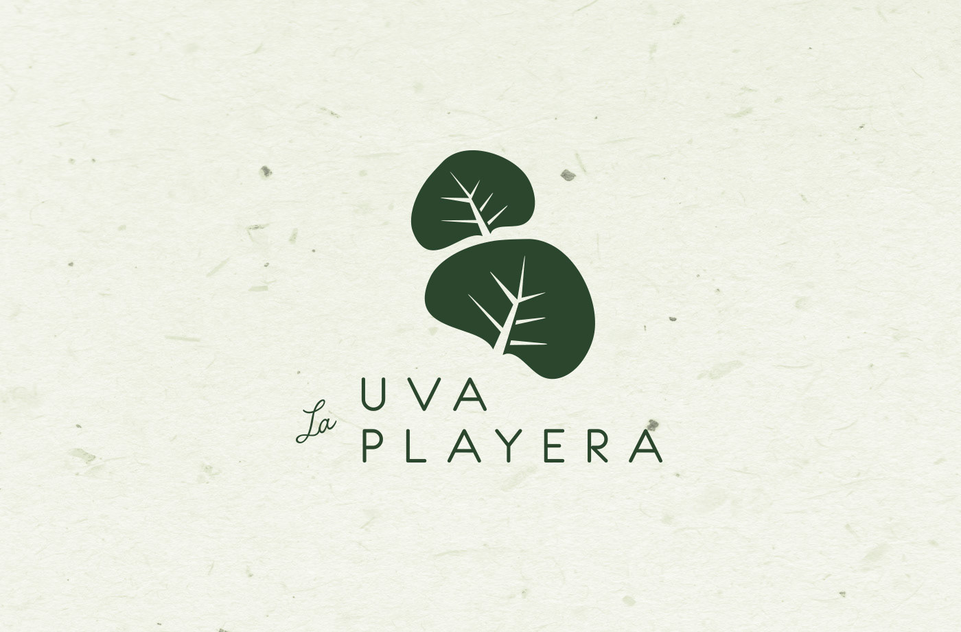 uara estudio, branding + design