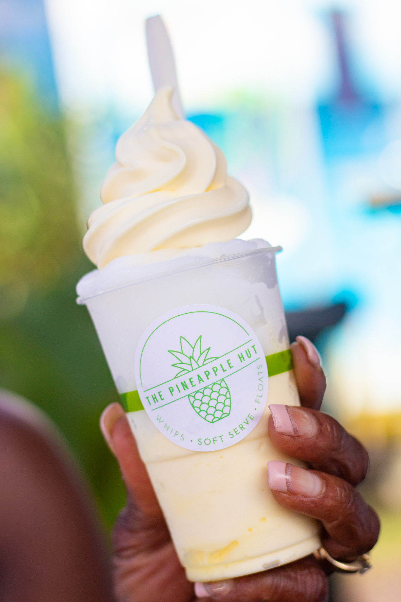 The Pineapple Hut Charleston