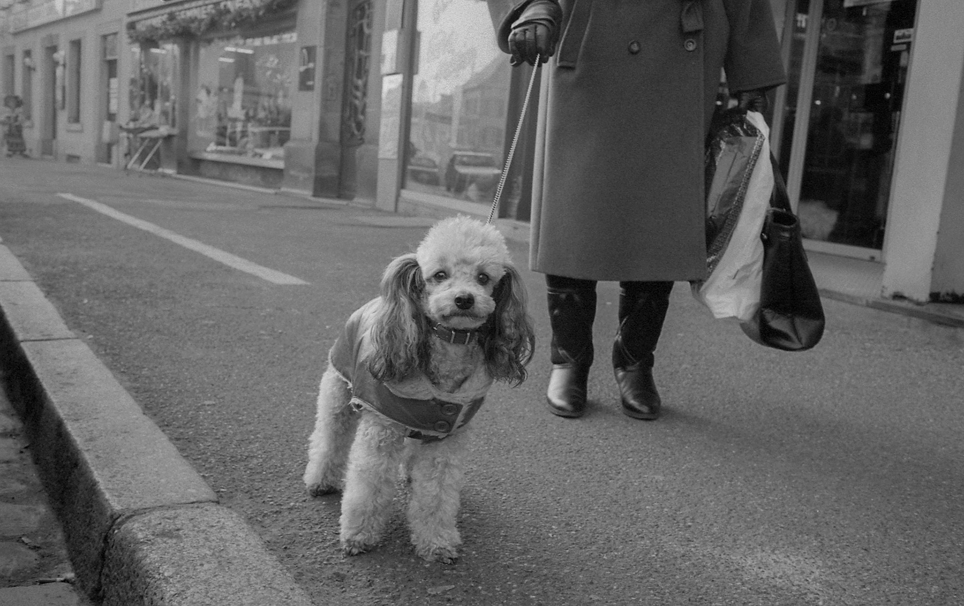 1990 Colmar