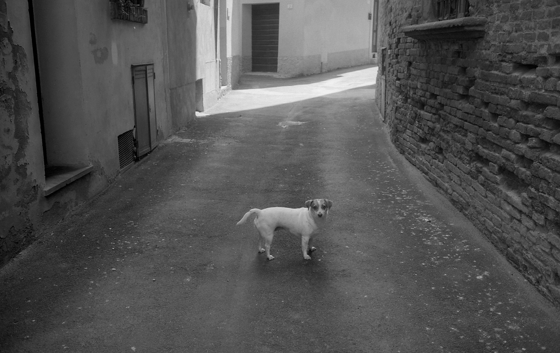 1999 Toscane