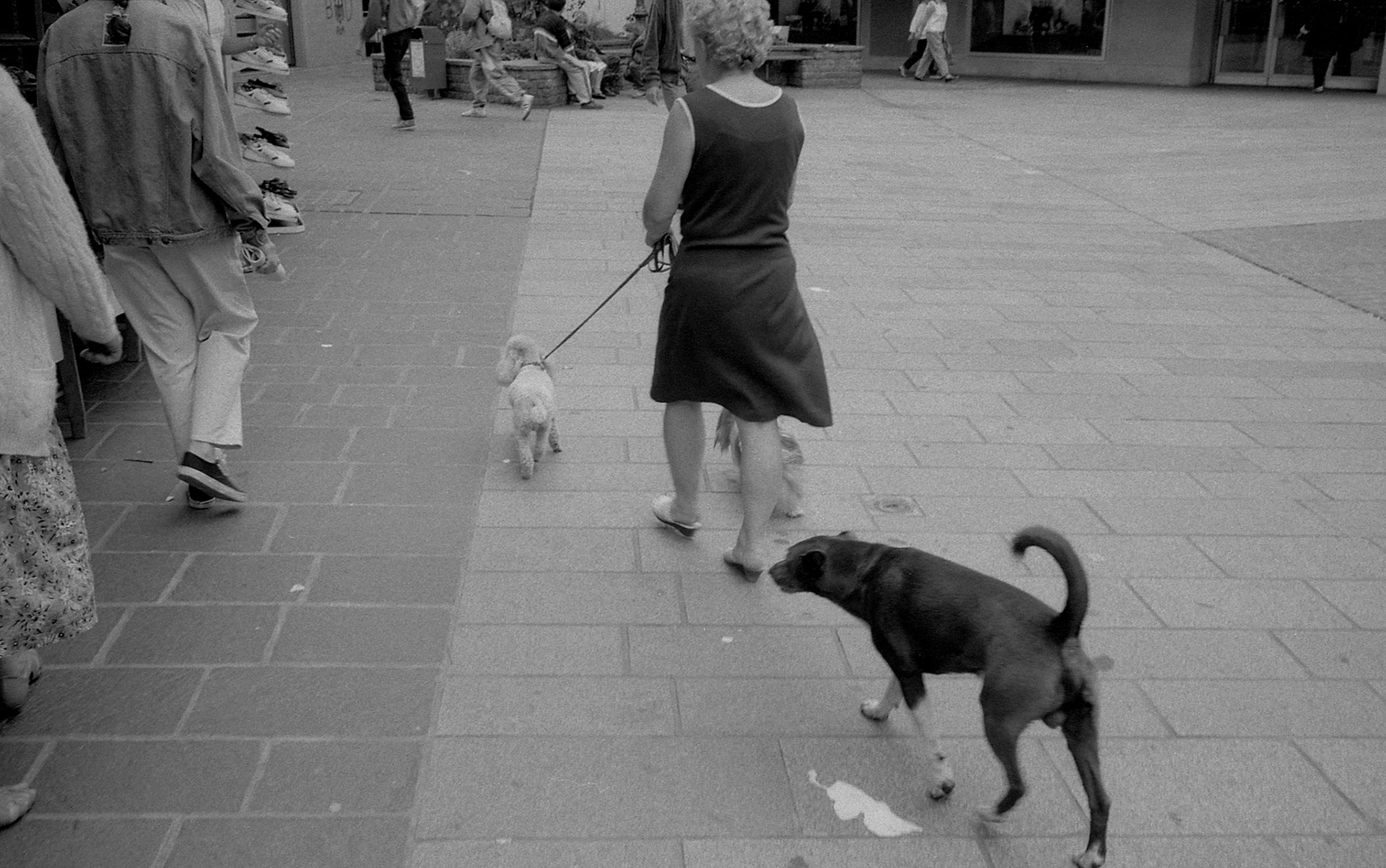 1991 Mulhouse