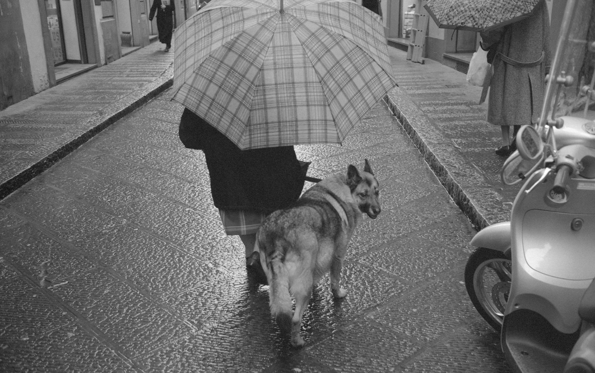 1999 Florence