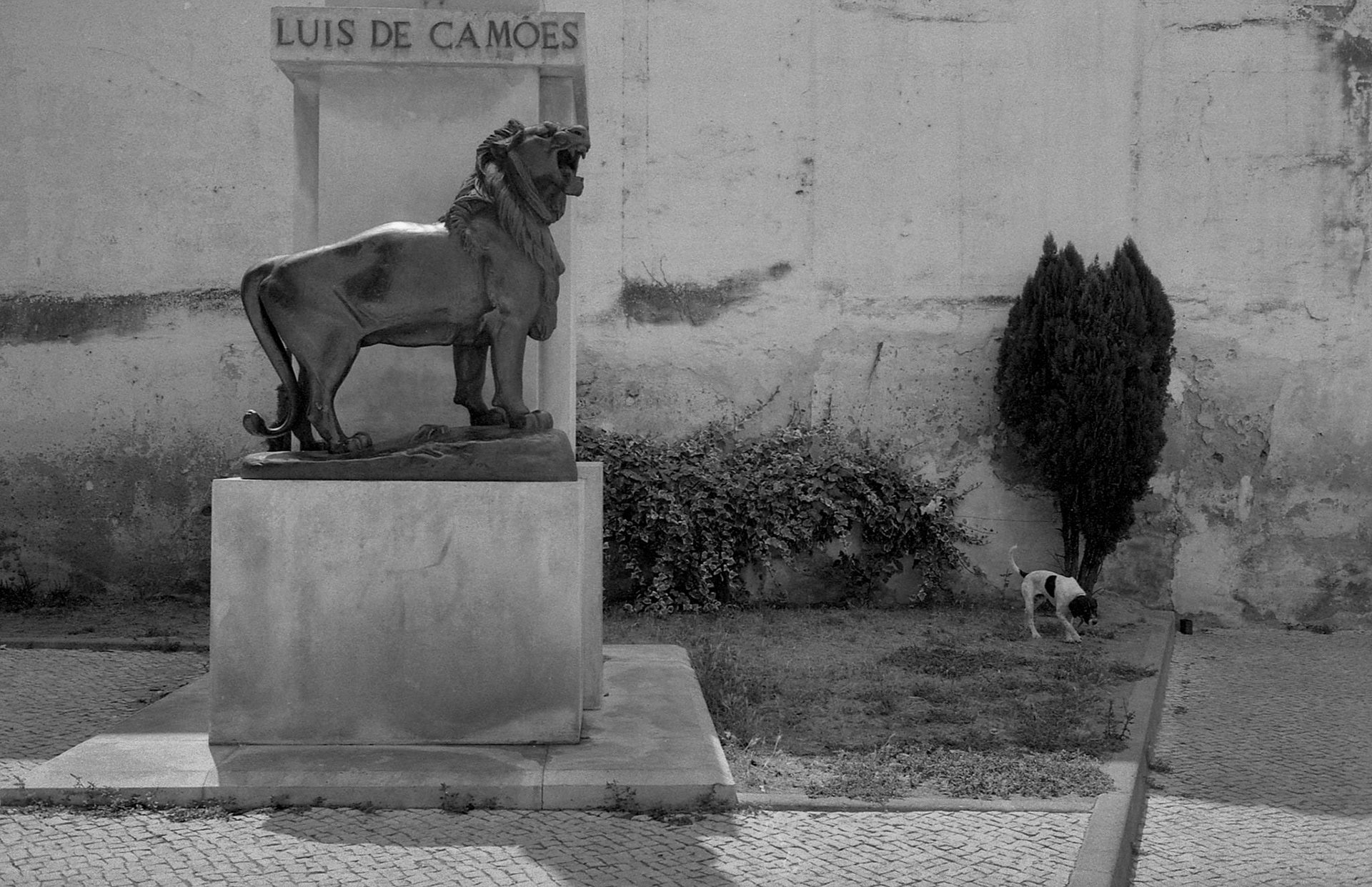 1994 Lisbonne