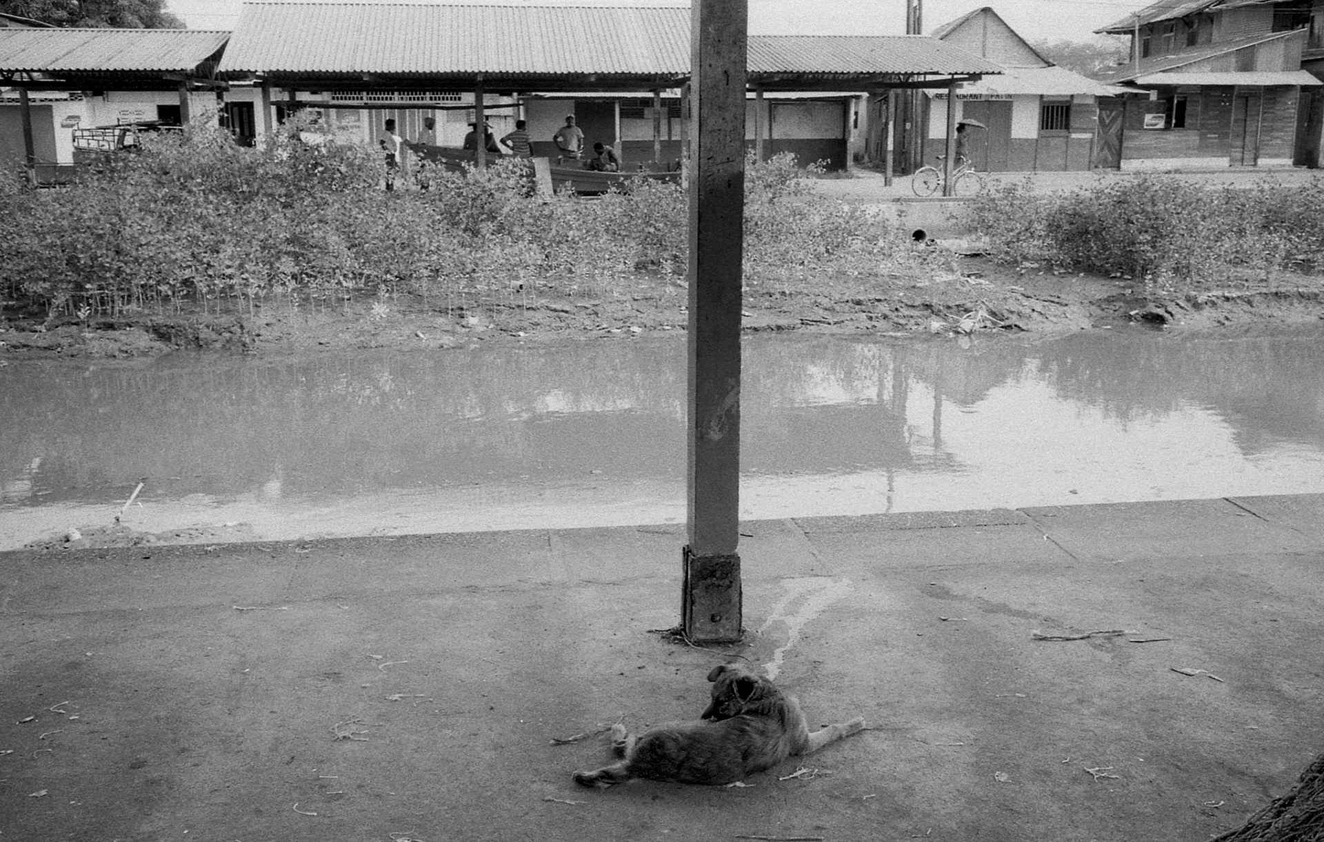 1991 Guyane