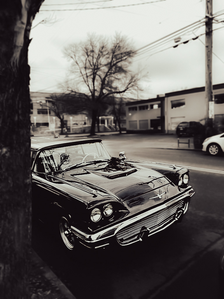 A black-and-white photo of a 1960 Ford Thunderbird parked on a city street. The car has four round headlights, a wide chrome grille, and a sleek, glossy body. A tree is on the left, and buildings, cars, and power lines are in the background.