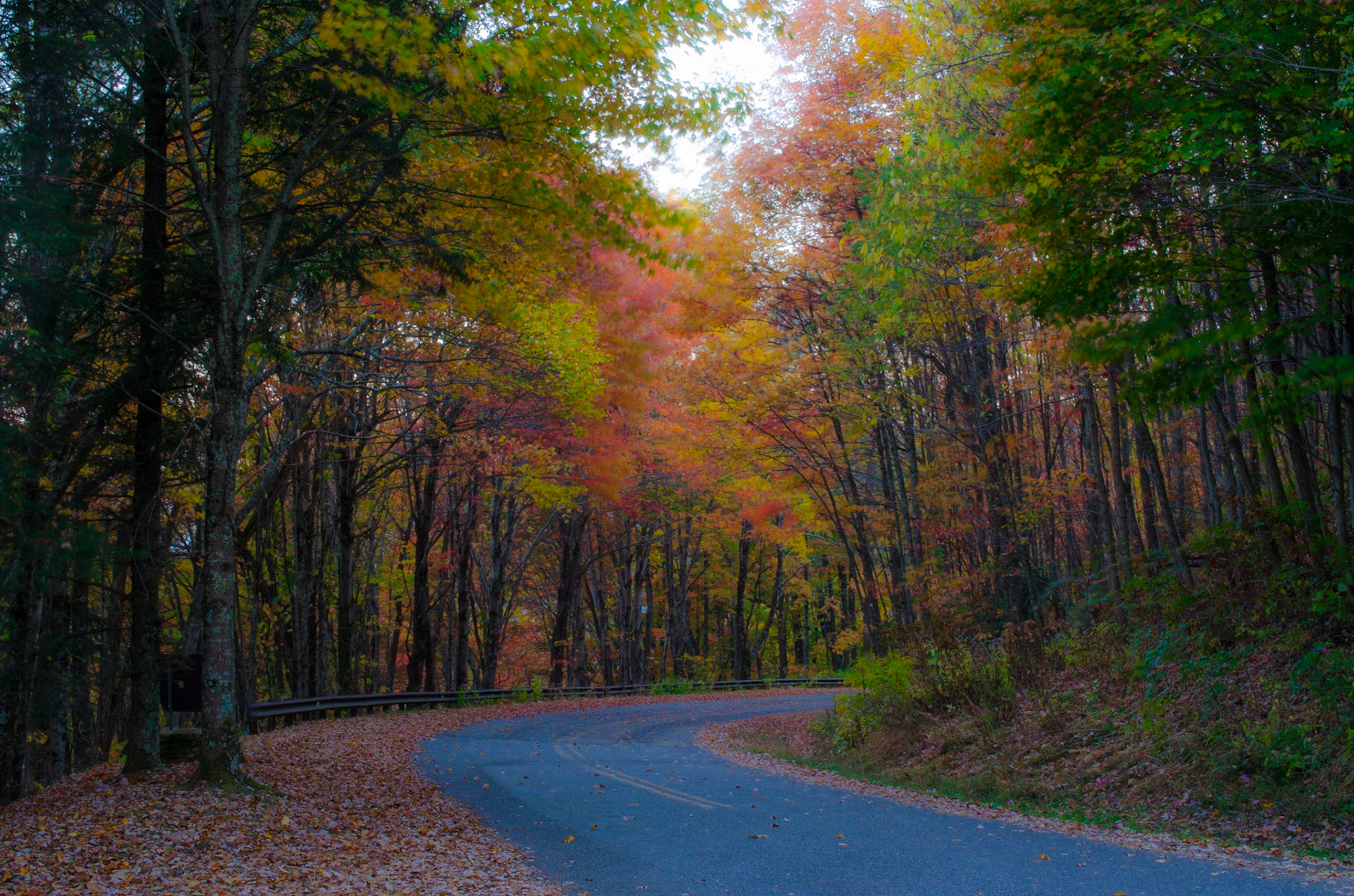 Back country road in Nantahala Naitional Forest.