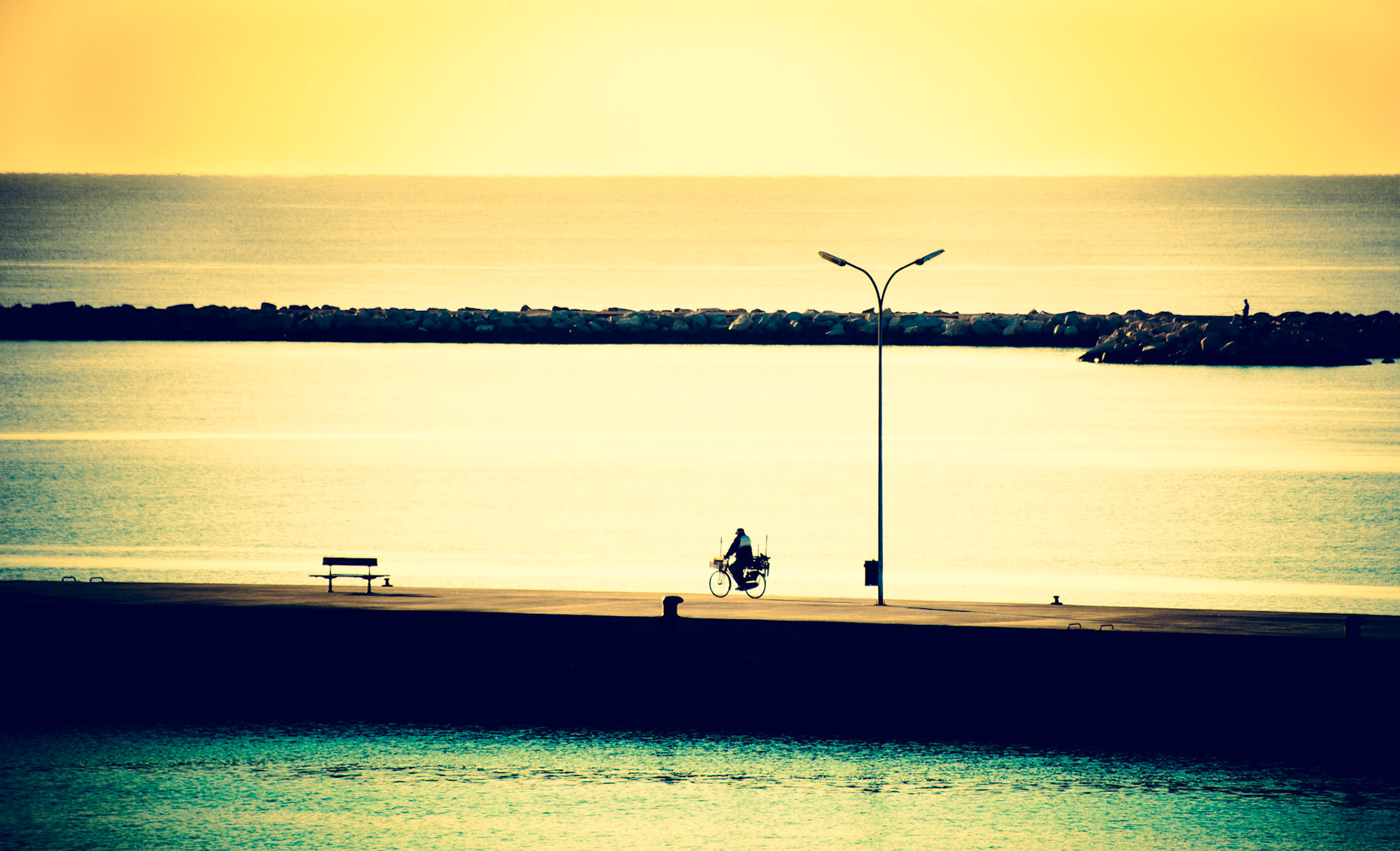 Lone Cyclist