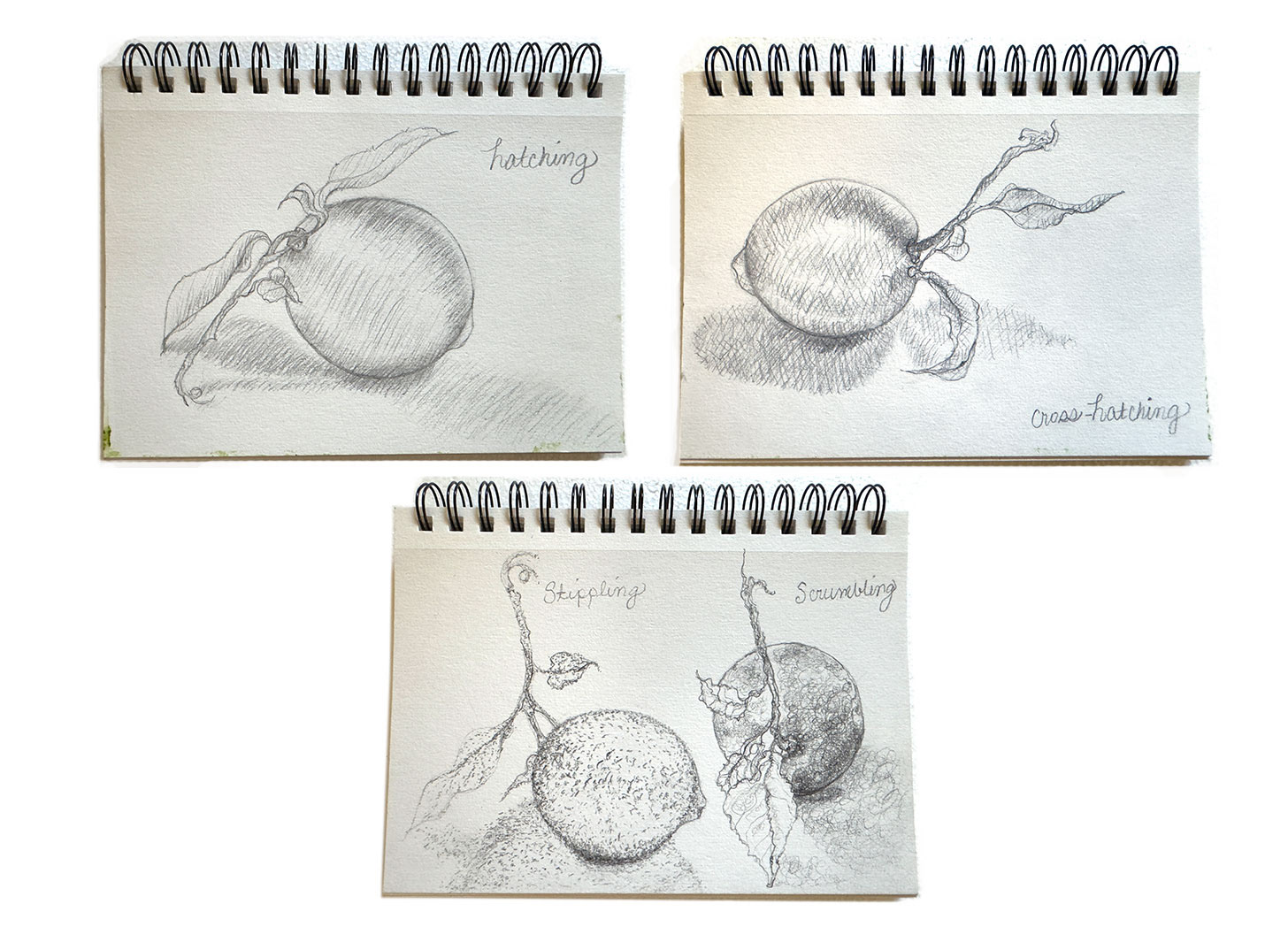 4 sketchbook drawings of a lemon using graphite pencils and hatching, cross-hatching, stippling, and scrambling techniques.