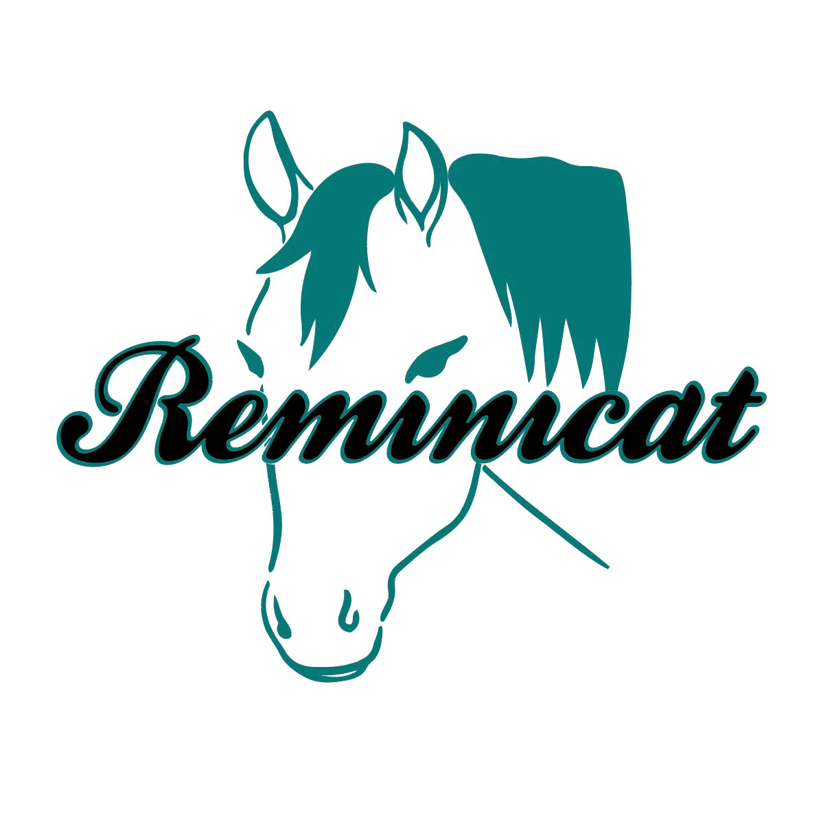 Other Logo Variation