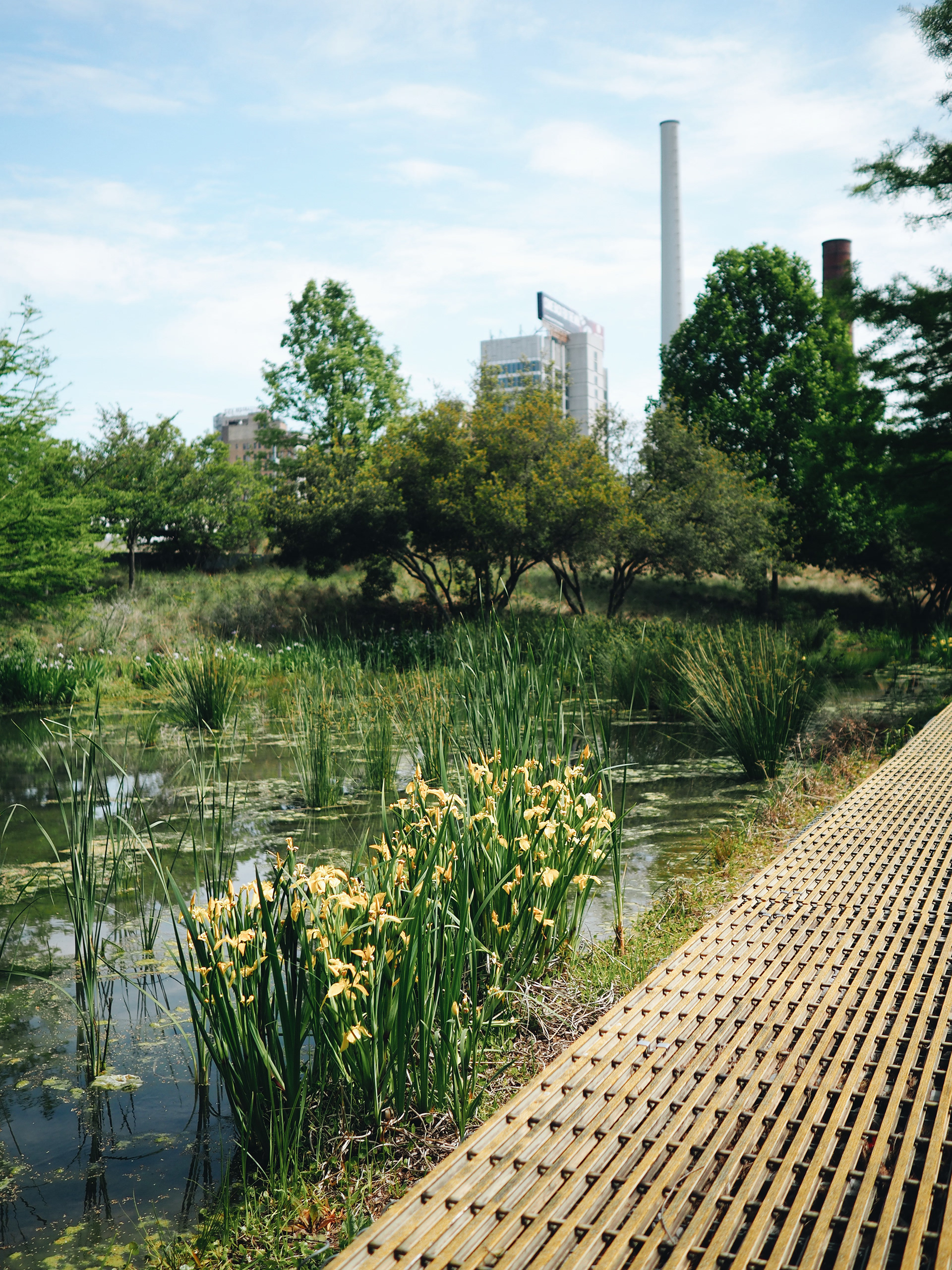 Railroad Park