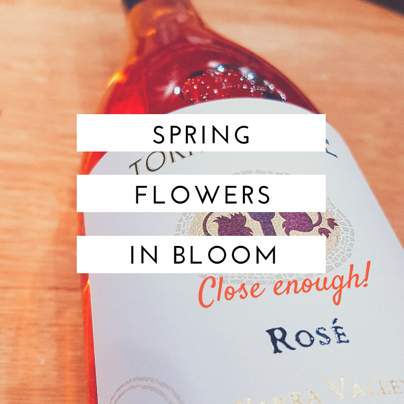 Photography & Instagram Post