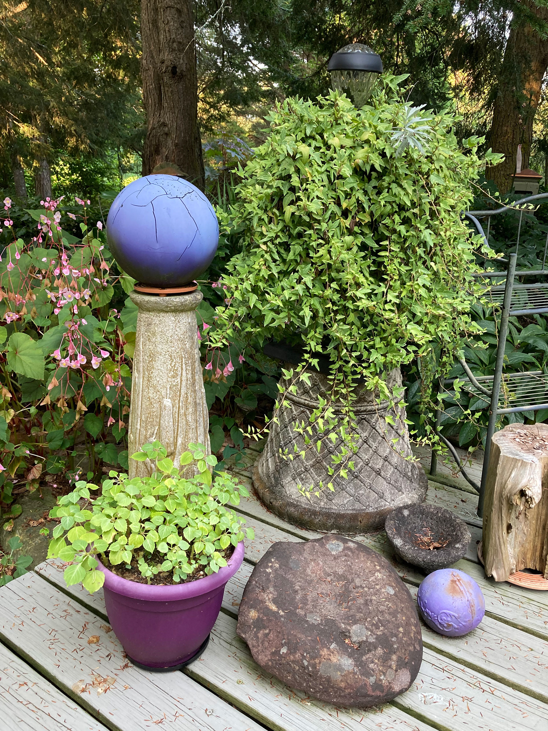 Norma's Garden
