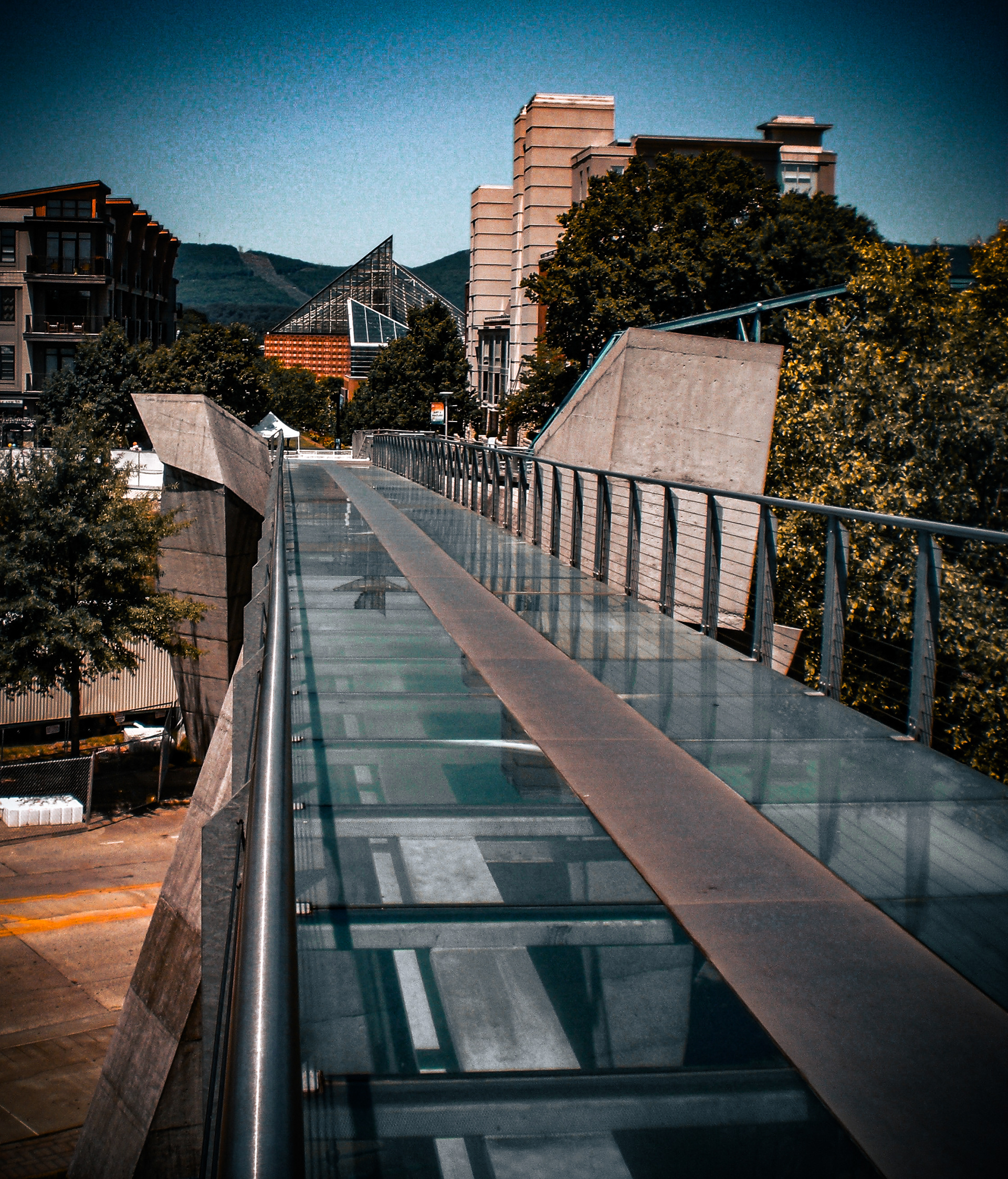 The Holmberg Glass Bridge