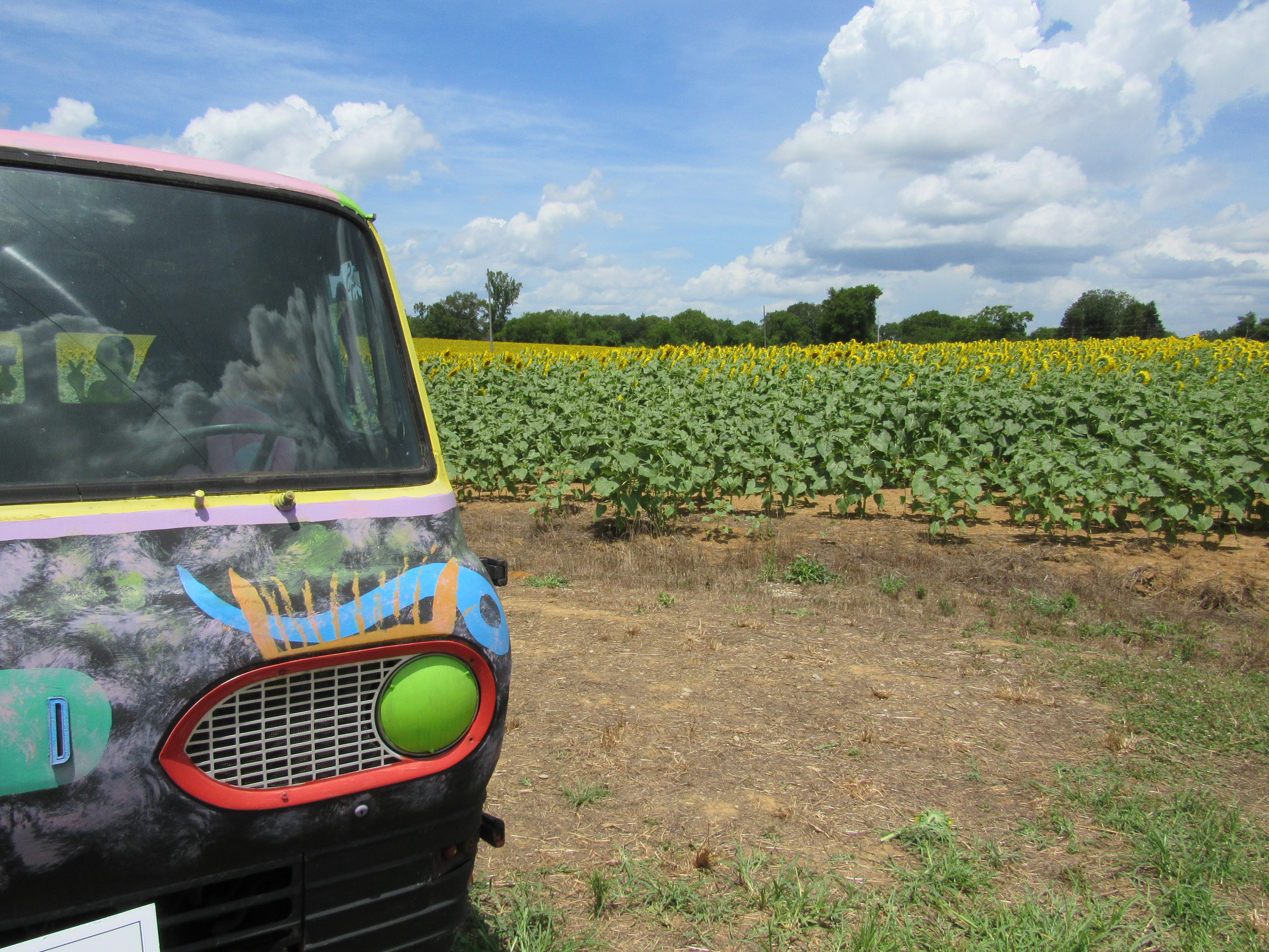 Smith-Berry Sunflower Field