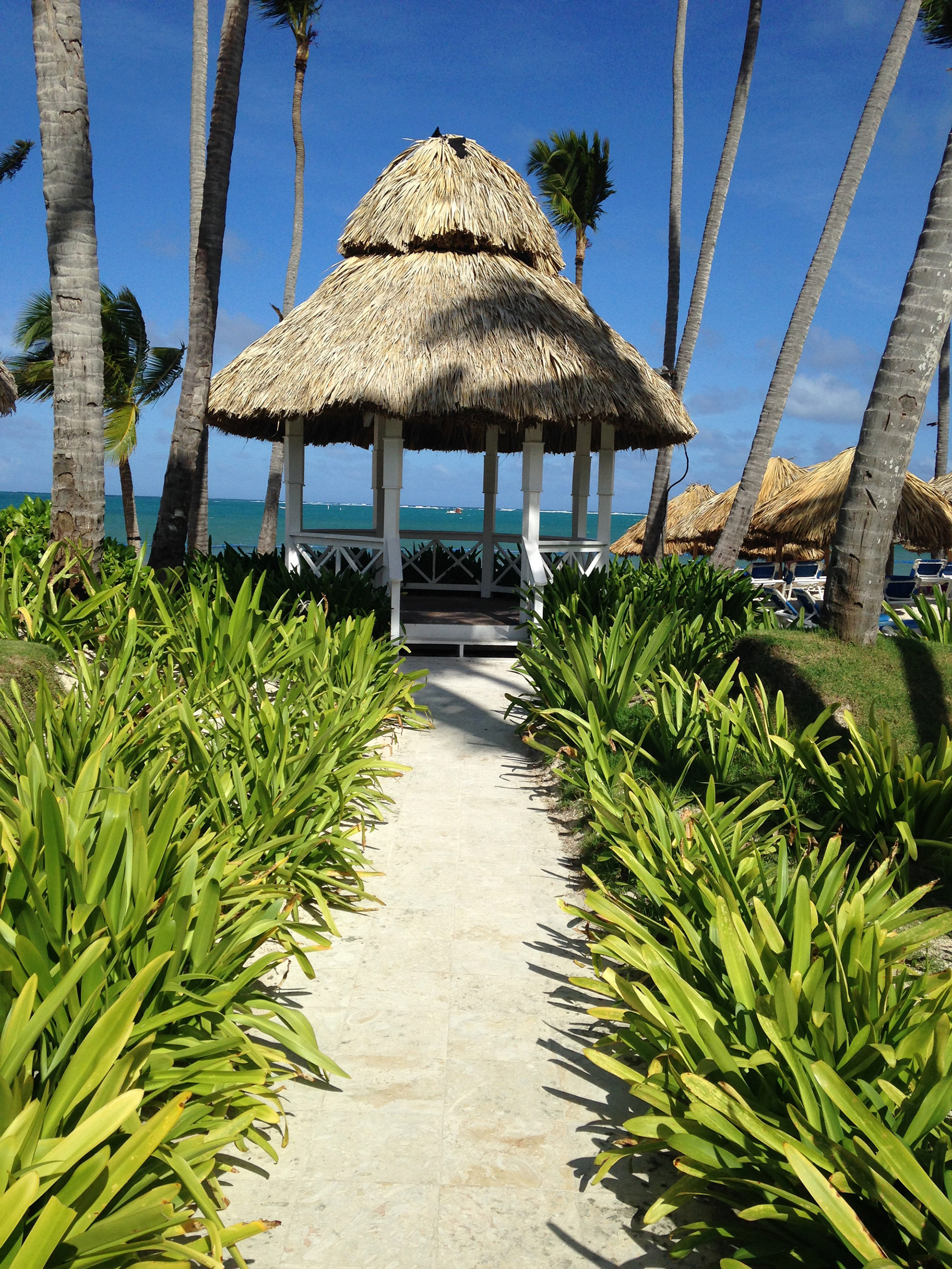 Dreams Palm Beach Punta Cana