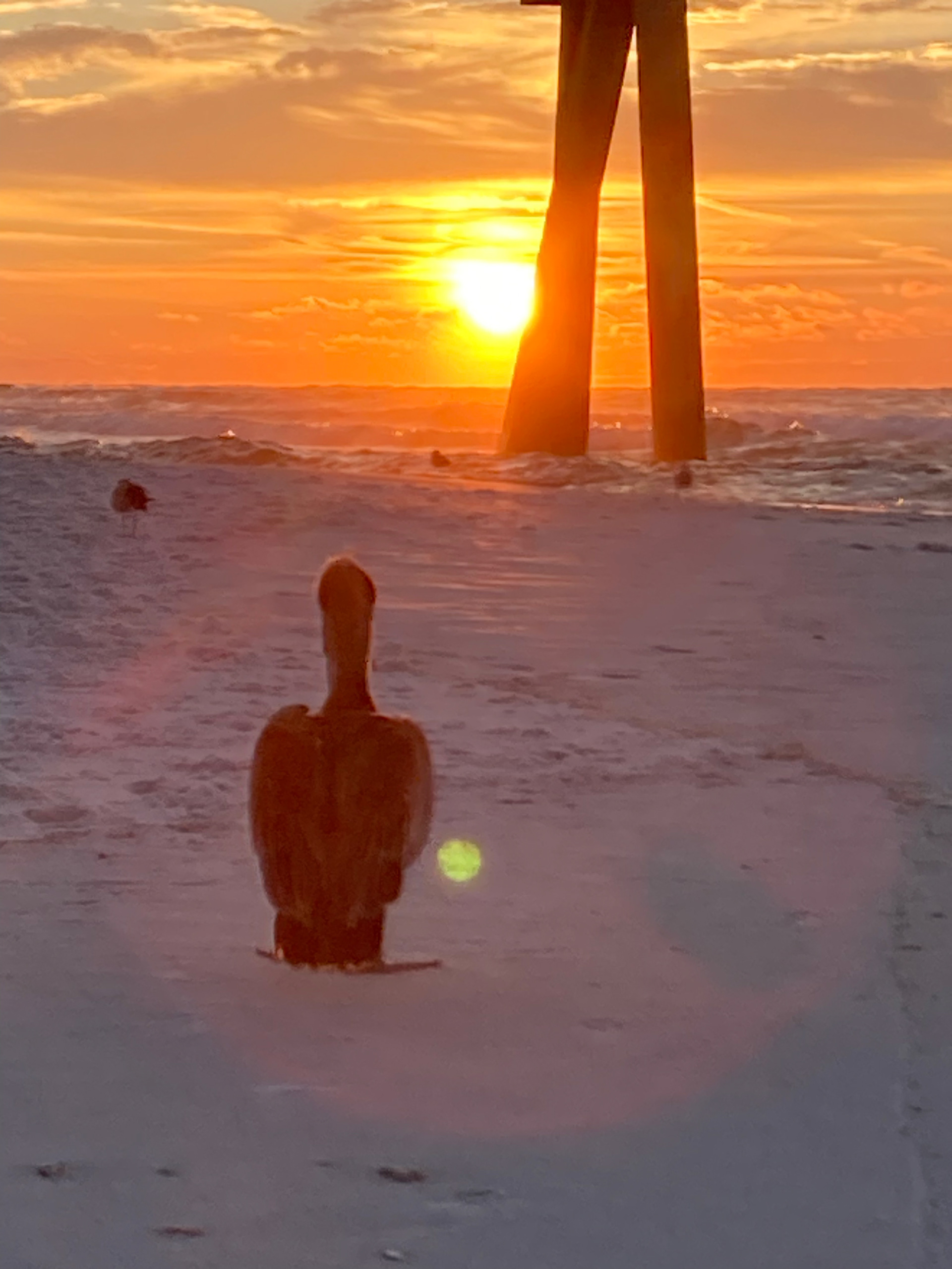Watching the Sunrise