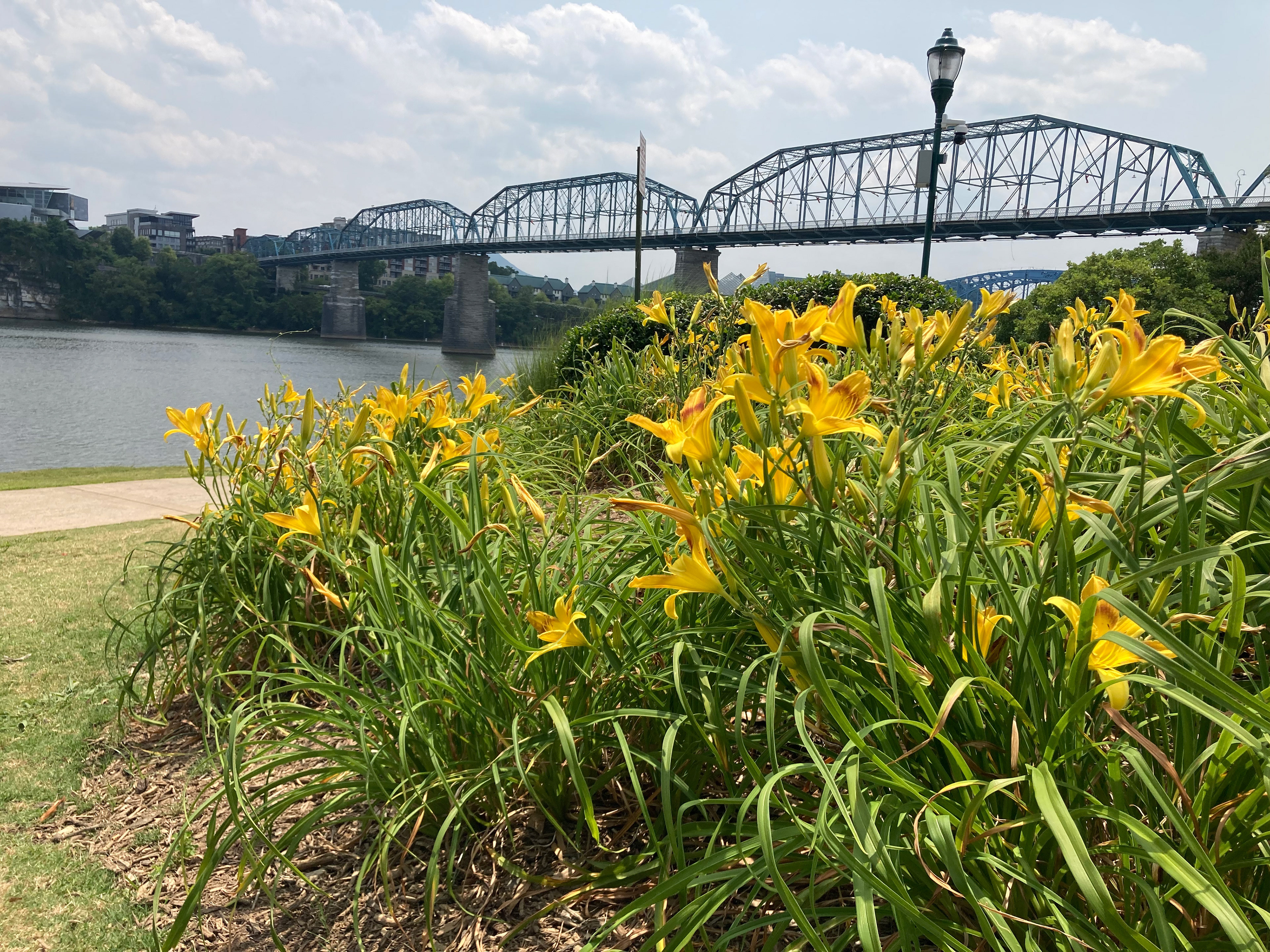 Coolidge Park