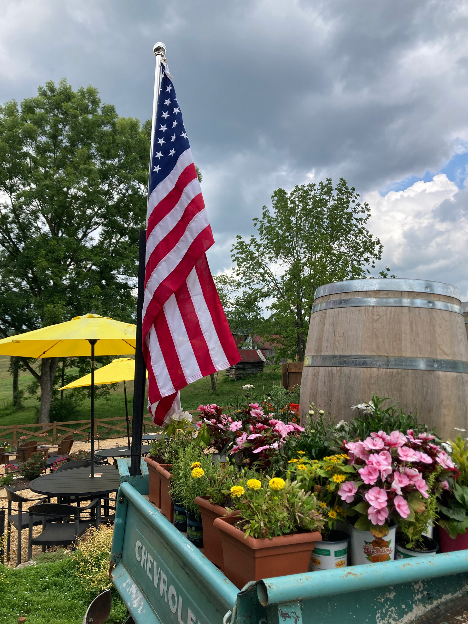 Buckley Vineyard