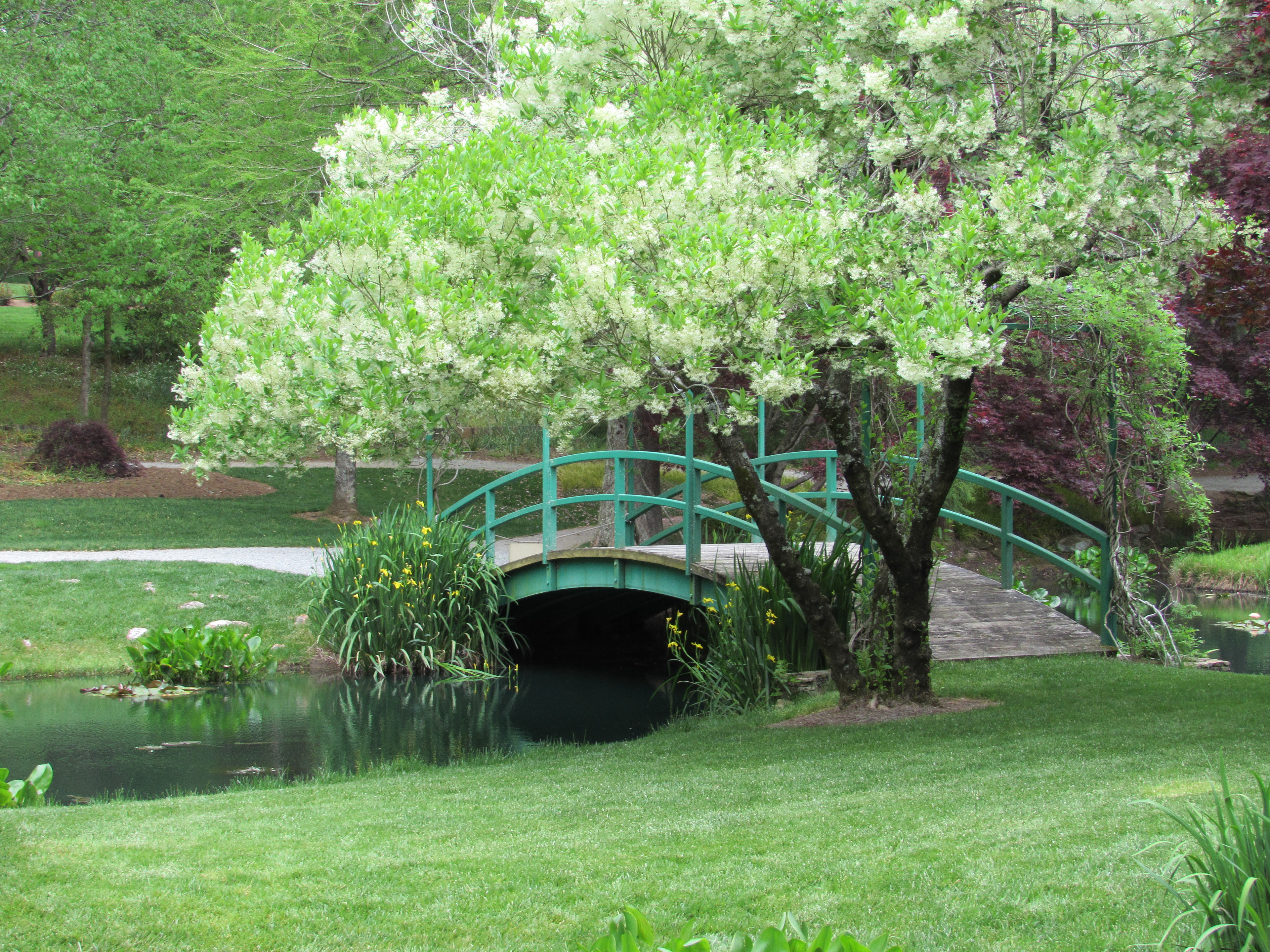 Gibbs Garden