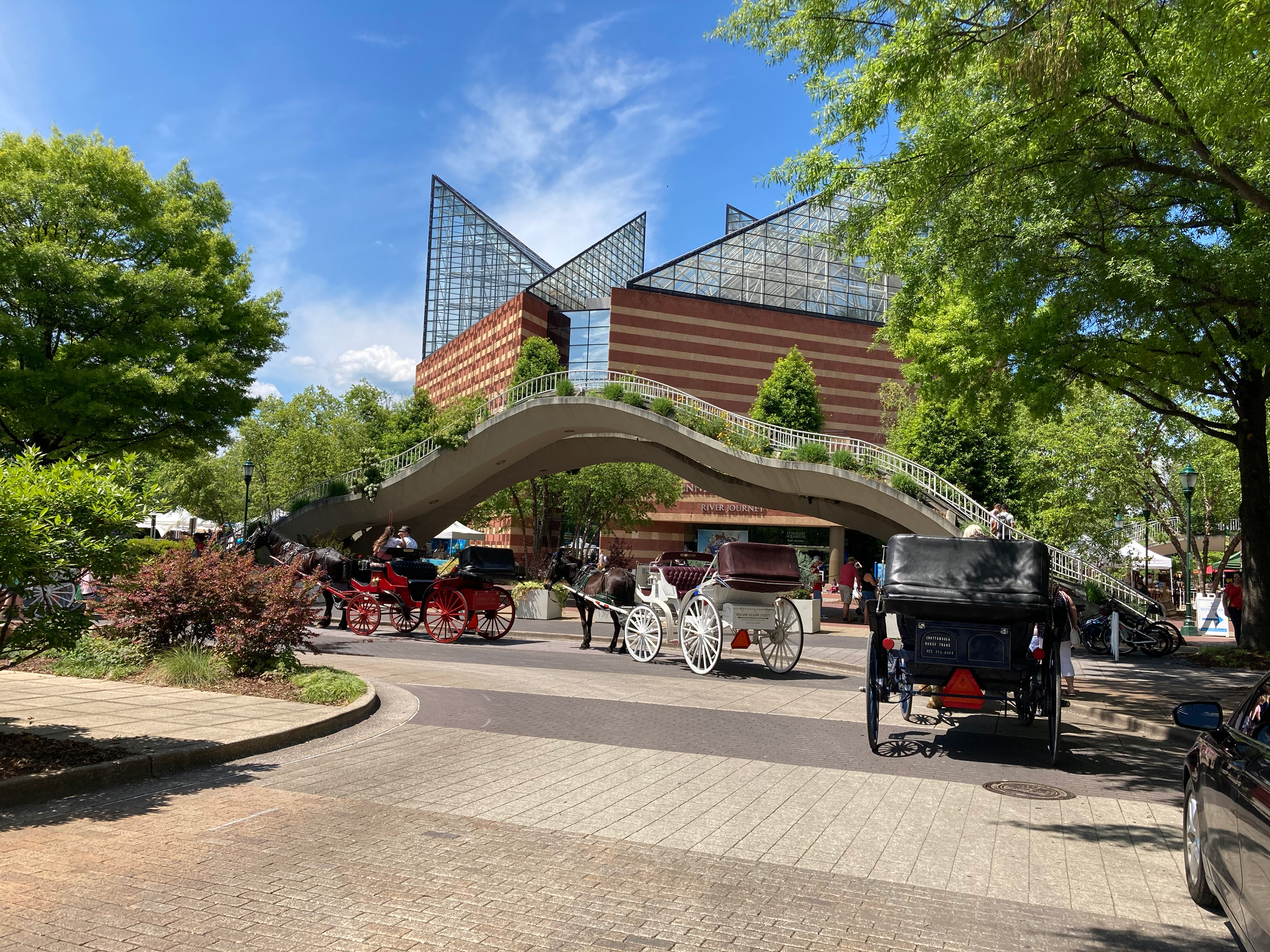 Tennessee Aquarium