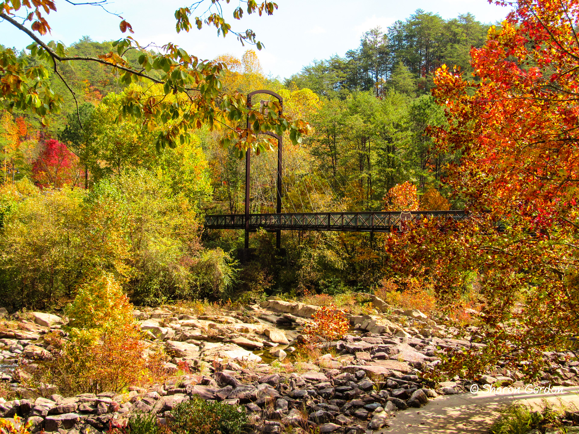 Ocoee White Water National Forest