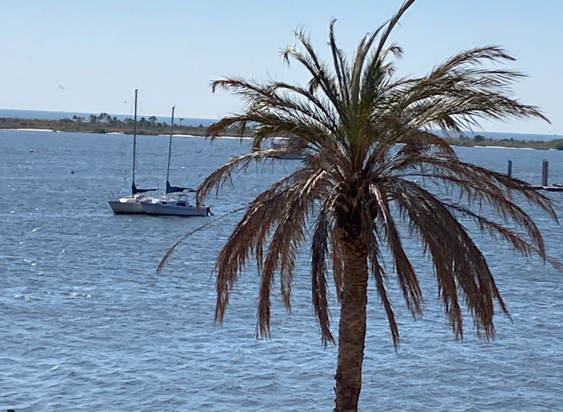 Ocean View