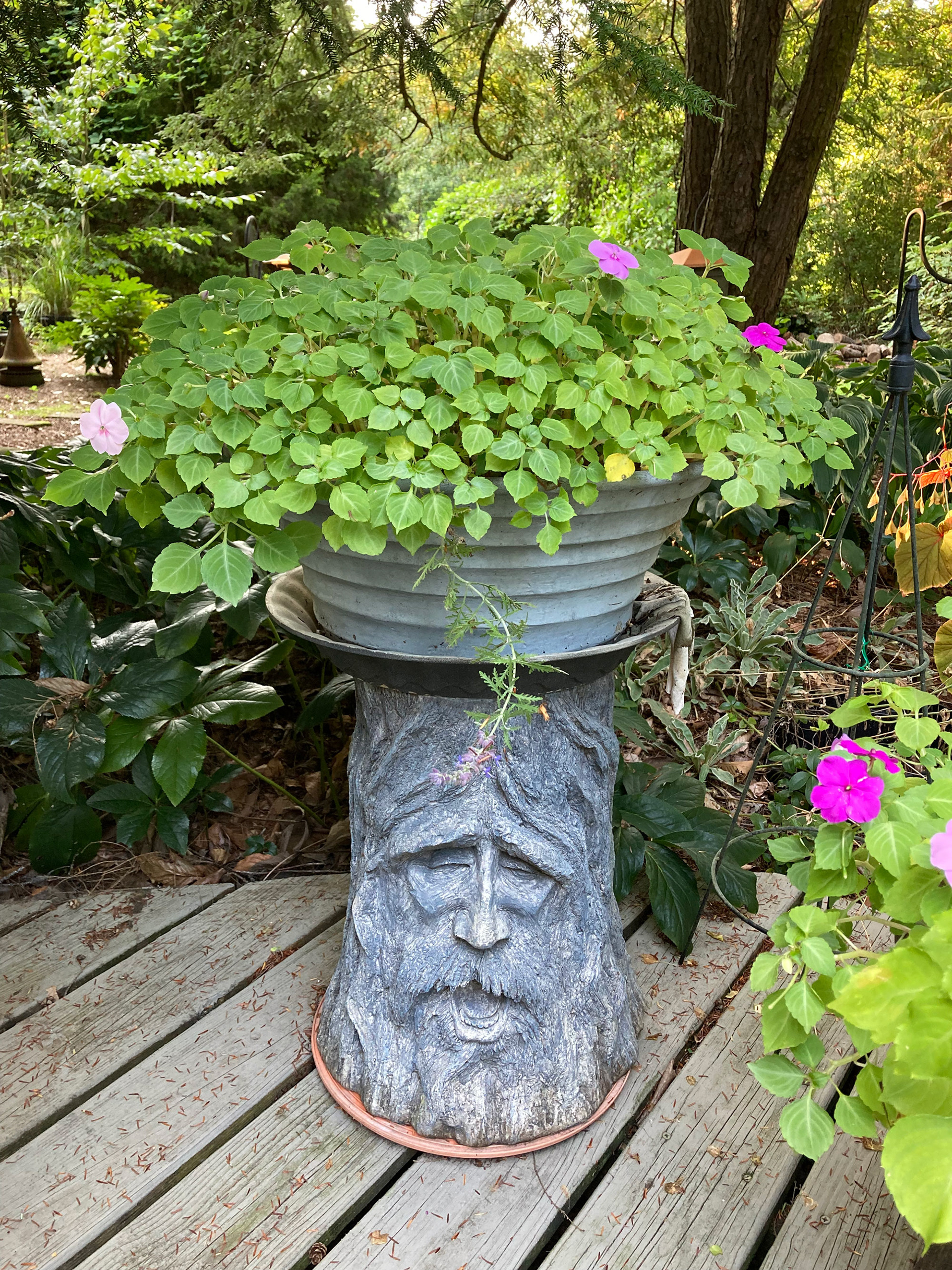 Norma's Garden