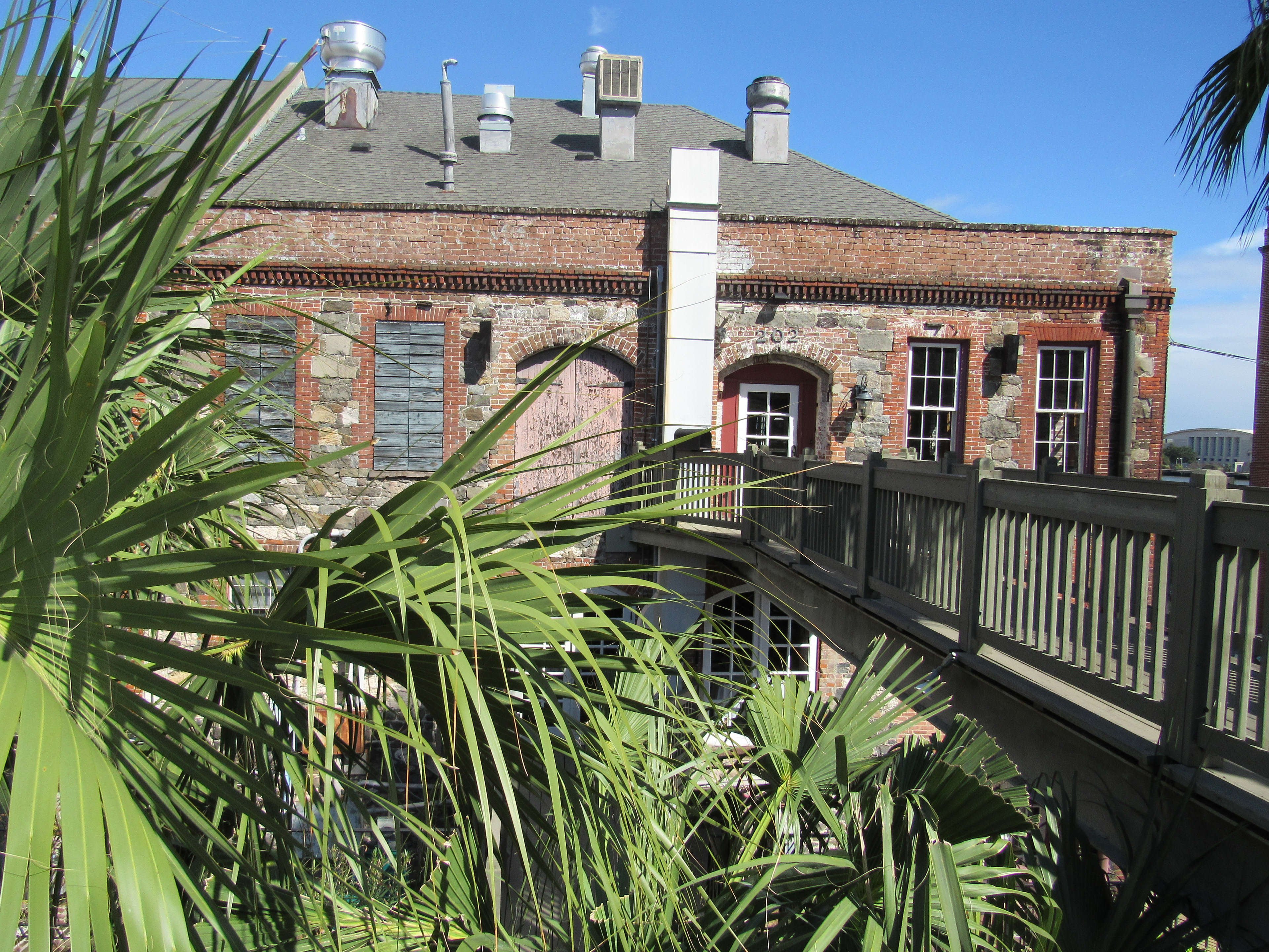 Savannah
