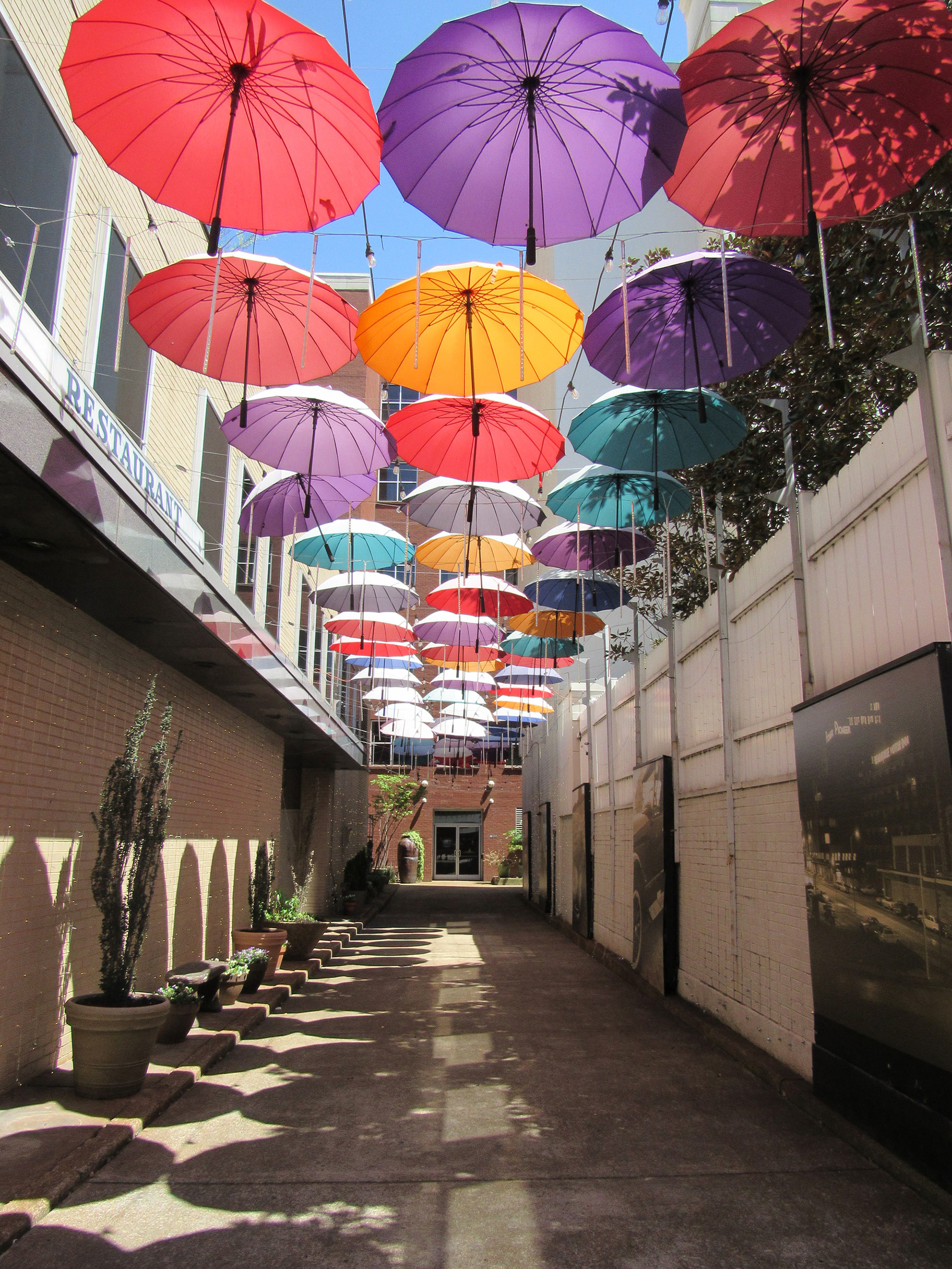 Umbrella Alley