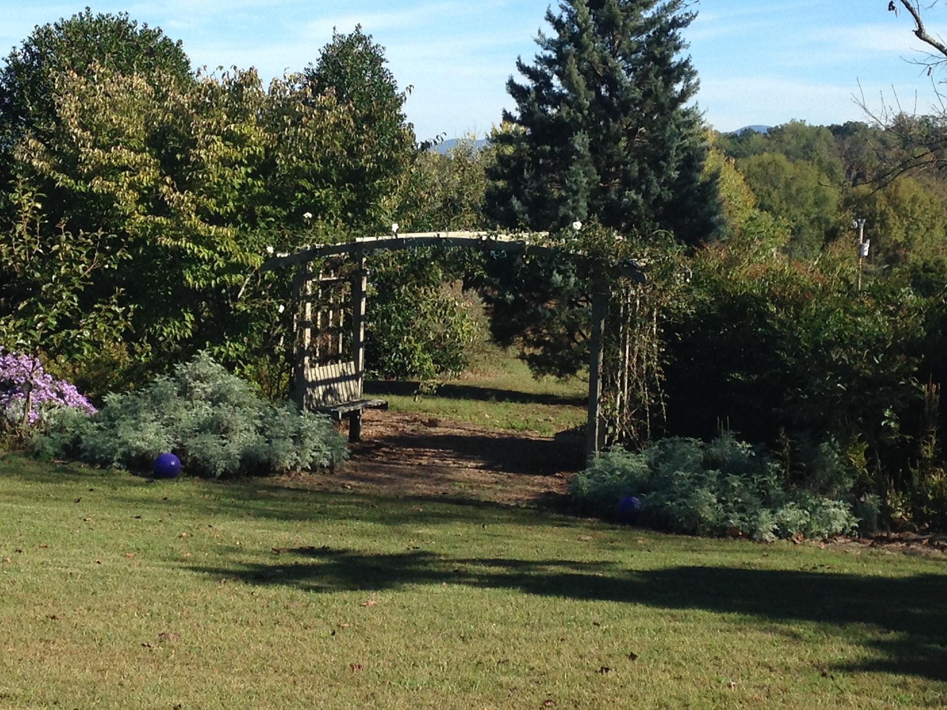 Norma's Garden