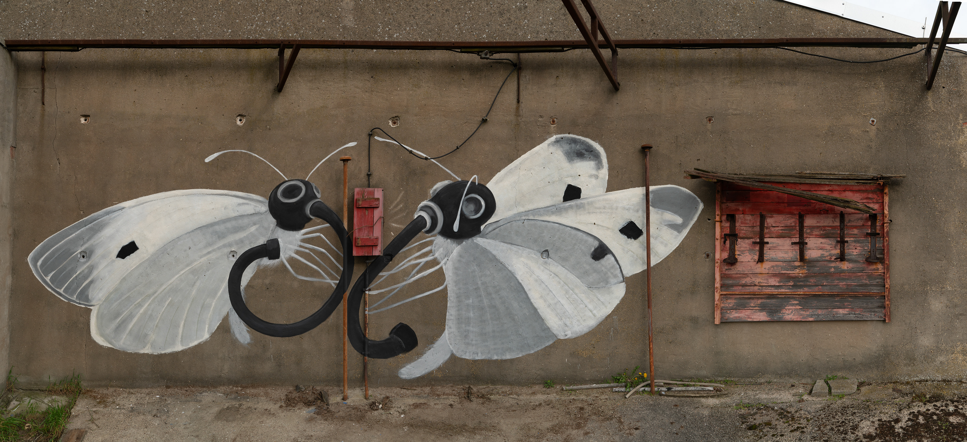 protection/ facade paint on wall/ gießhof/ 3.7 x 2 m/ 2024 