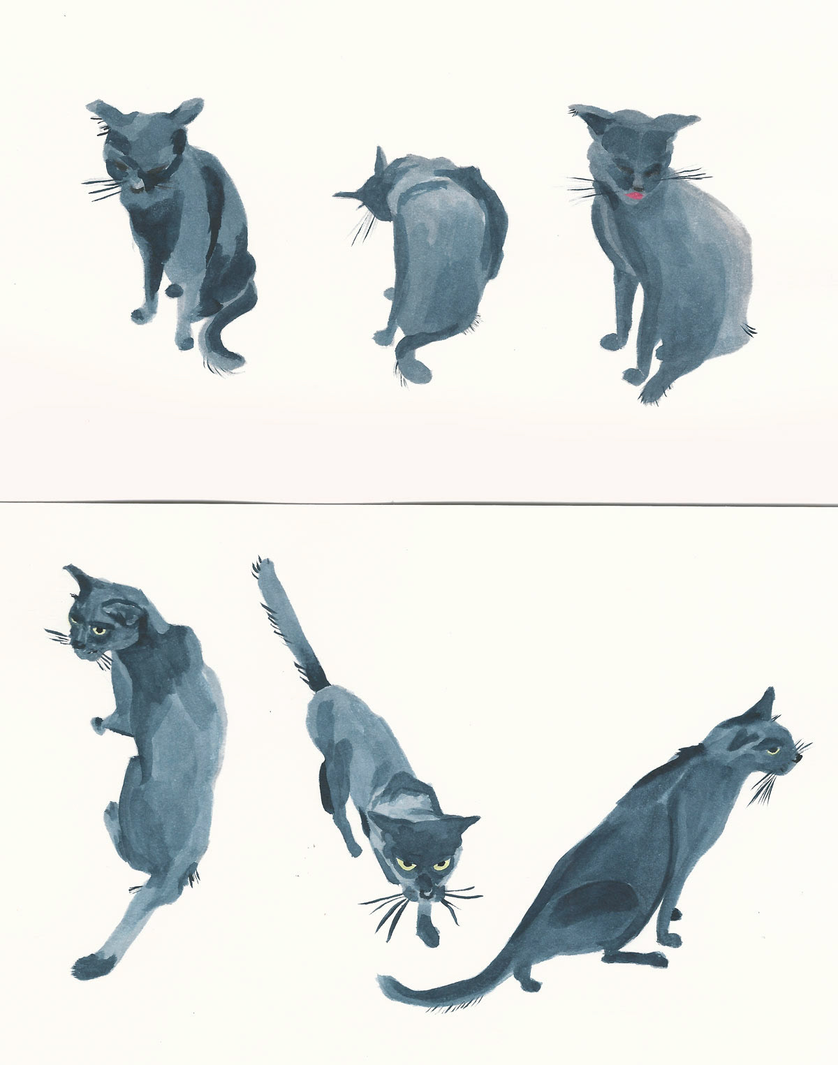 Herr Schwarz von allen Seiten