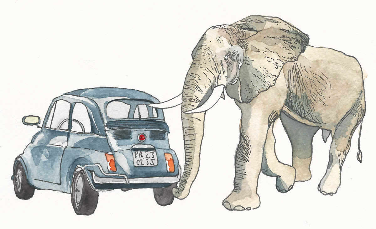 Früher gabs auf Sizilien Zwergelefanten