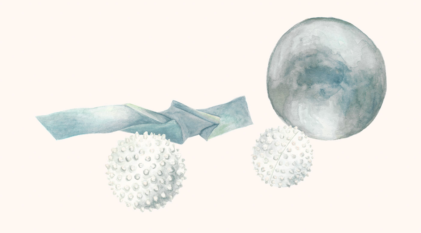 Pilates-Geräte für Dominique