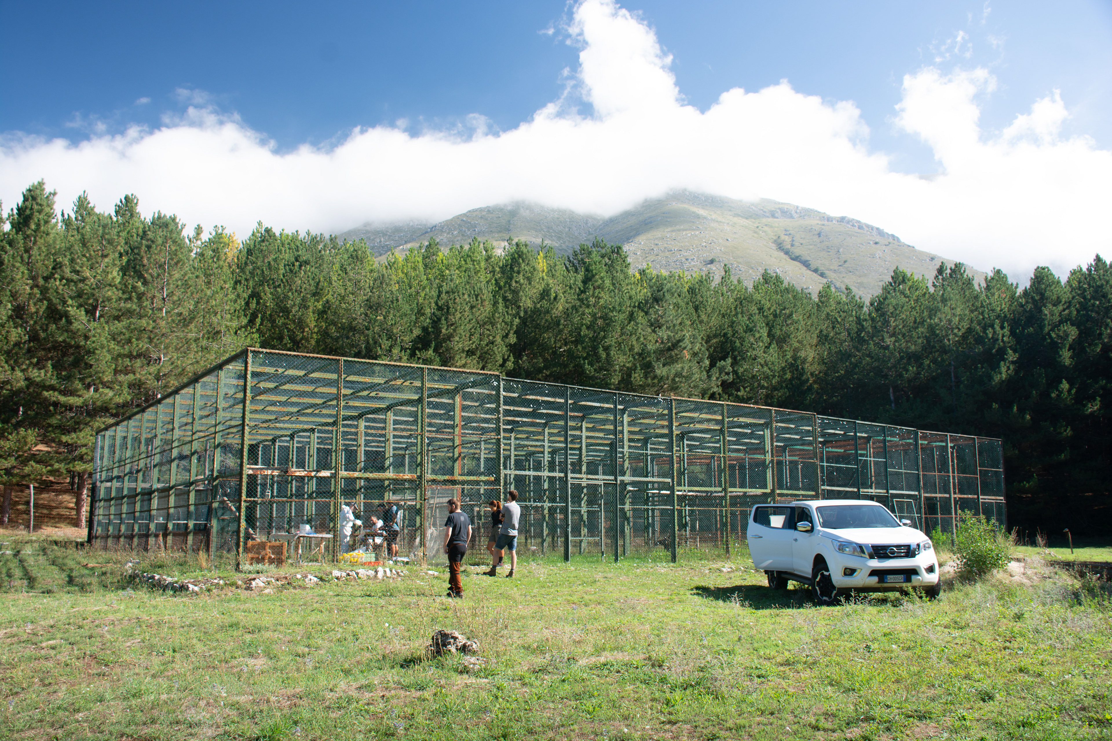 The Griffon Vulture rehabilitation centre.