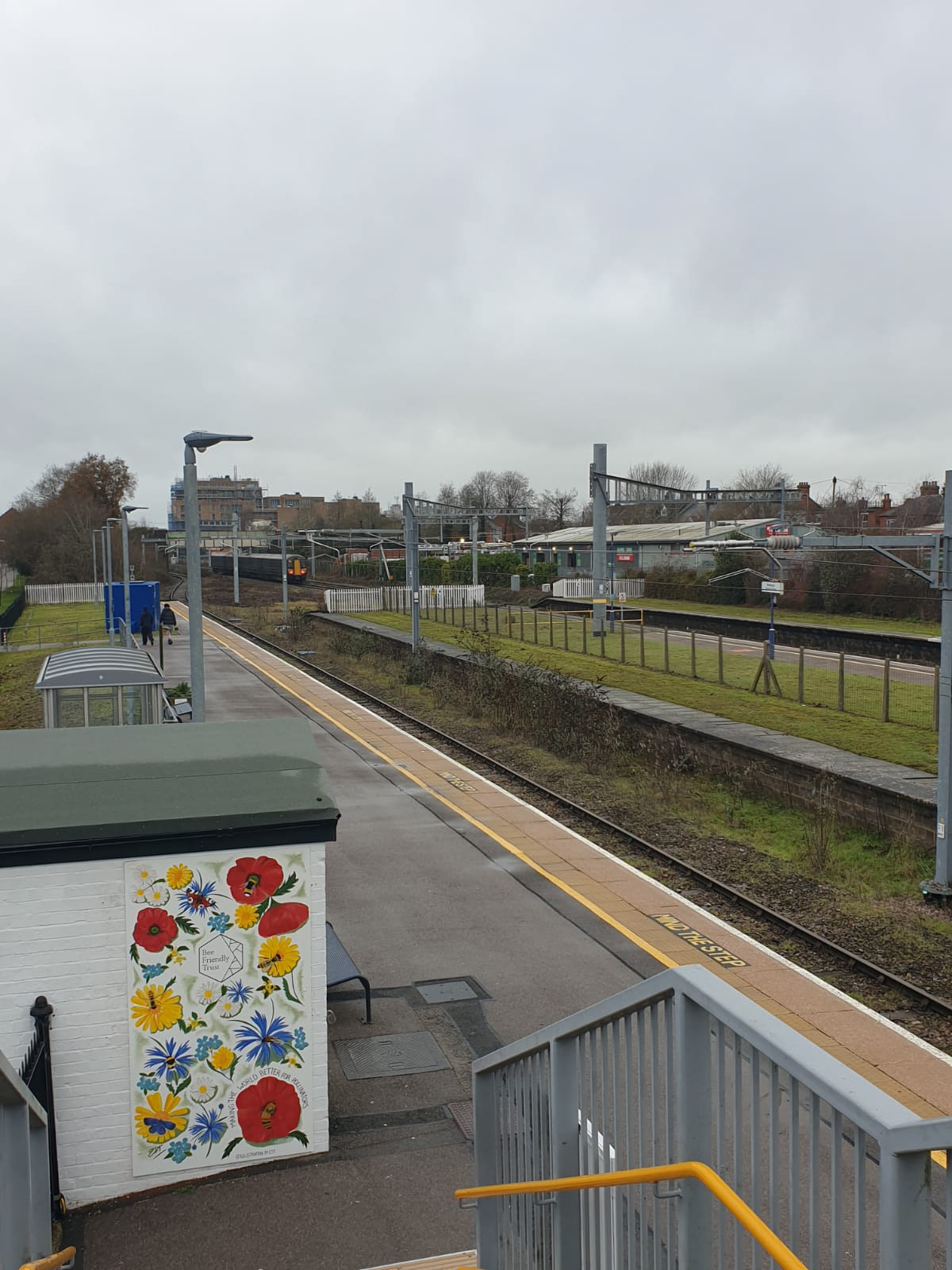 Wildflower mural at Newbury Park Racecourse Station