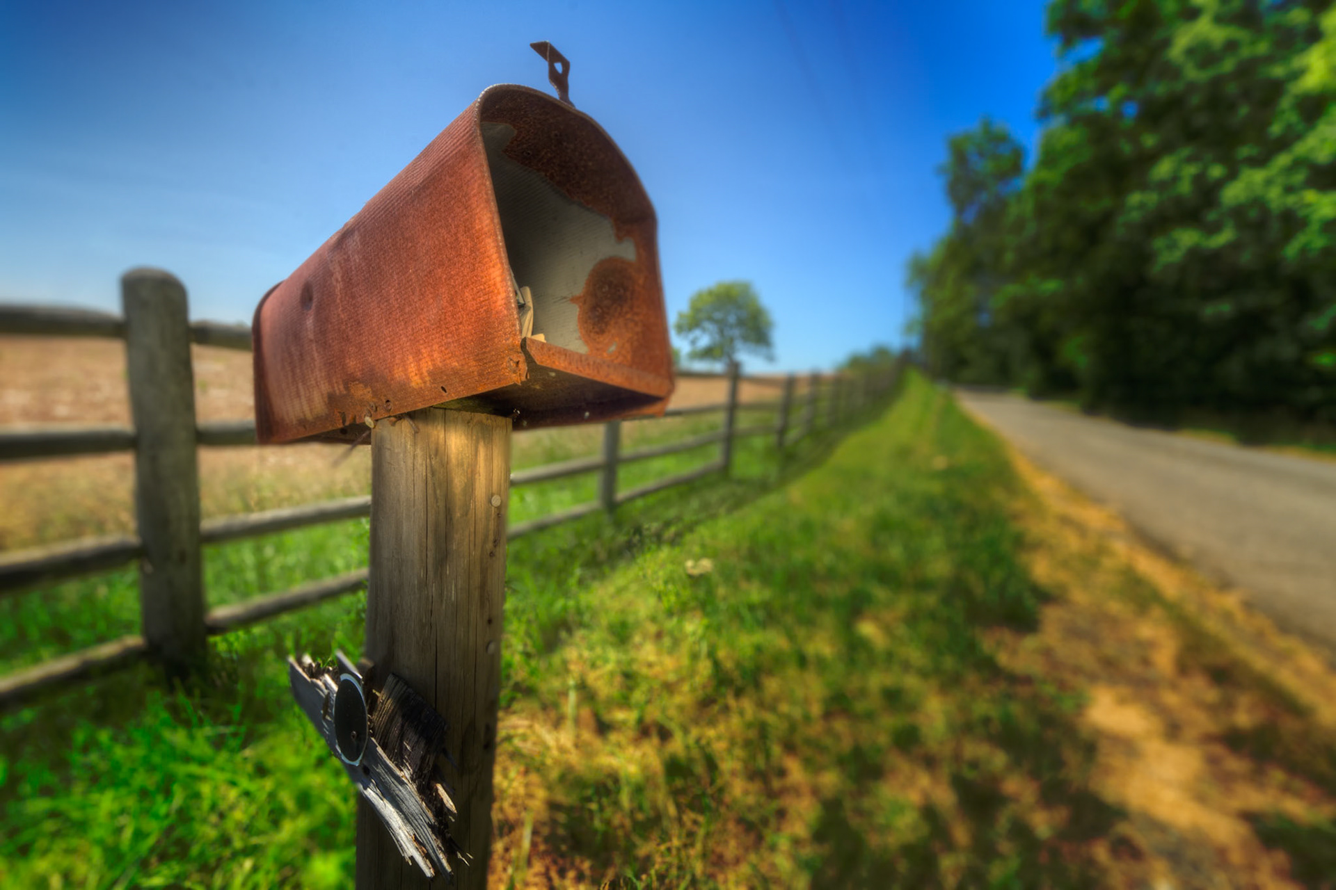 Takes a licking and keeps on ticking