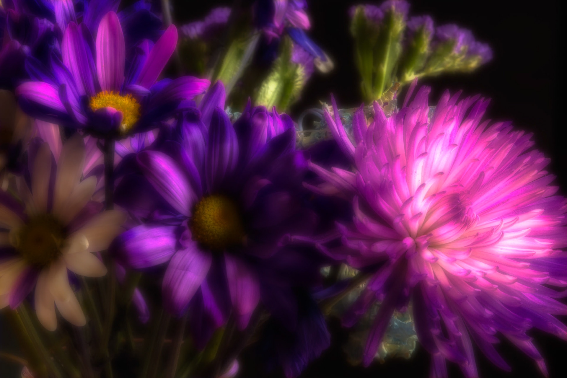 Orton Flowers