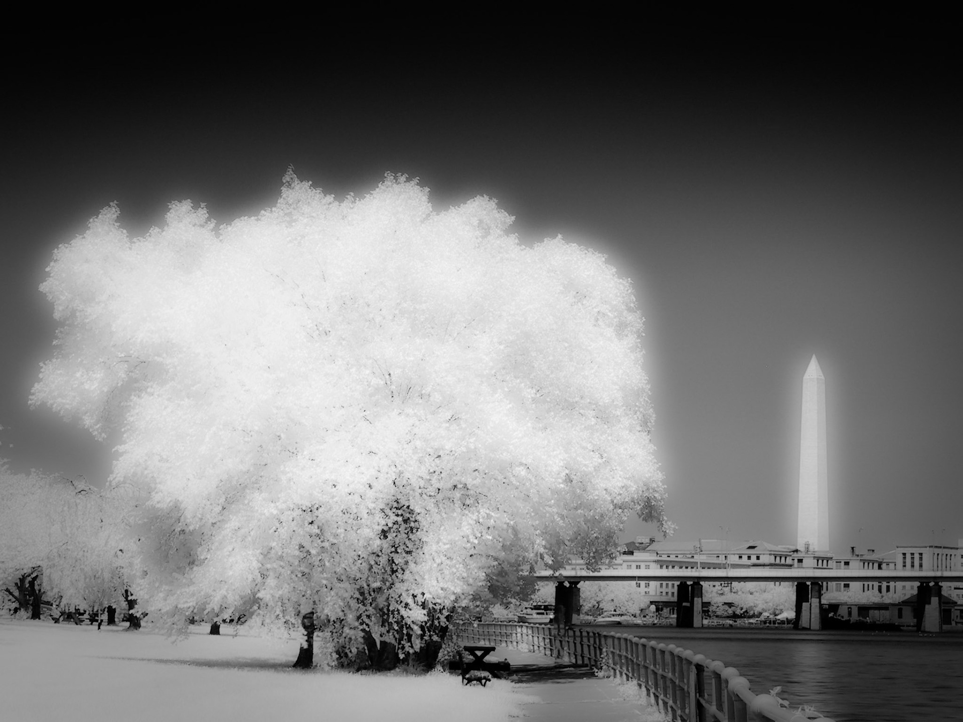 Nuclear Winter in the Nation's Capital
