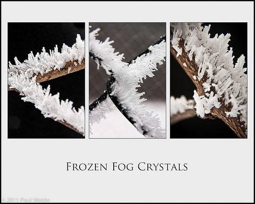 When the weather is just right, cold enough to freeze but warm enough for fog to be present, a beautiful phenomenon occurs.  The billowing fog is just above freezing, but all the objects it surrounds are below freezing.  As the fog contacts these cold objects, enough heat is withdrawn from the mist to change its state to ice.  If there is no wind, this process is gentle and builds up these beautiful ice crystals.